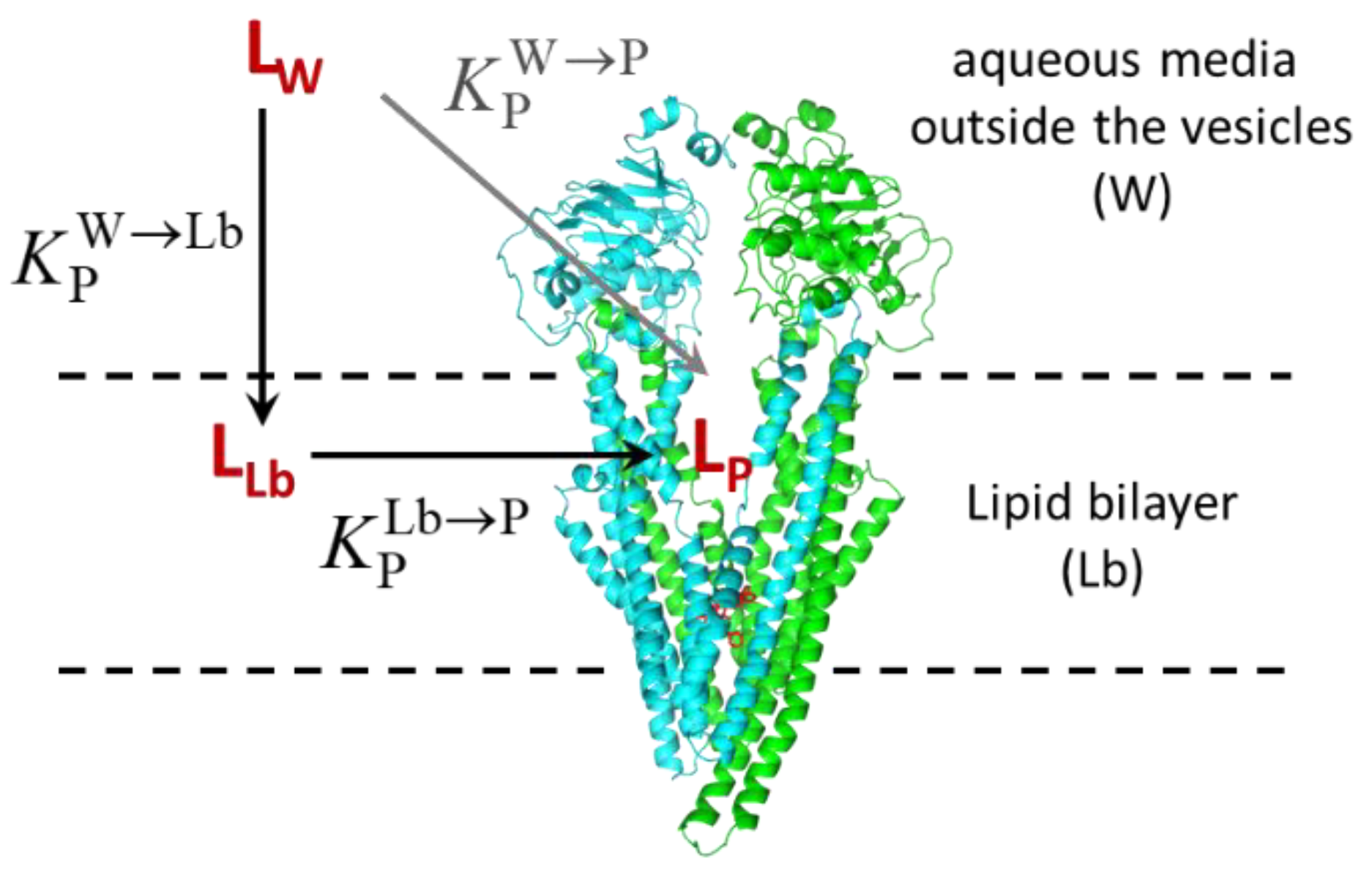 Pharmaceutics 15 00174 g009 Pharmaceutics 15 00174 g009