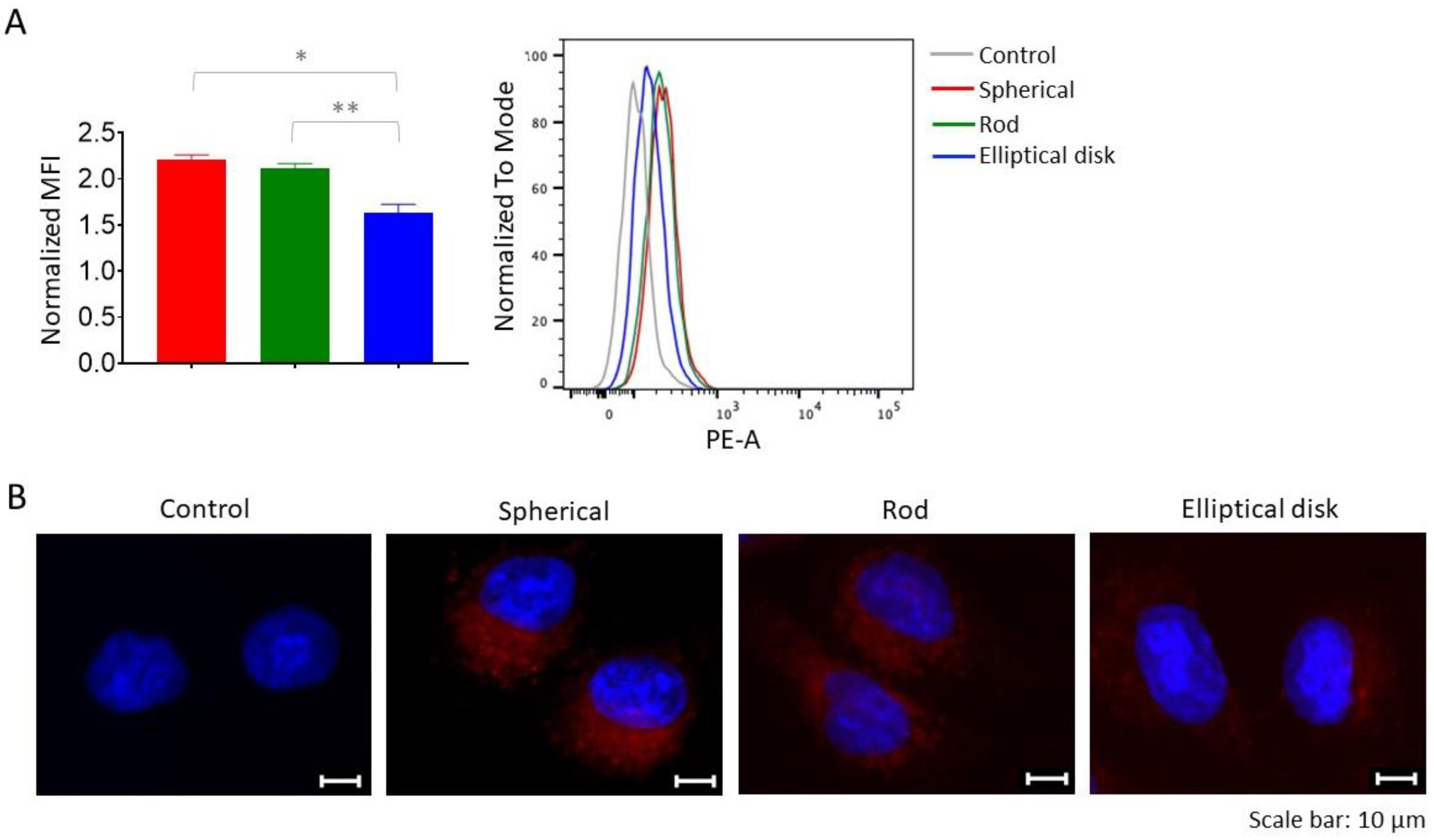 Pharmaceutics 15 00175 g006 Pharmaceutics 15 00175 g006