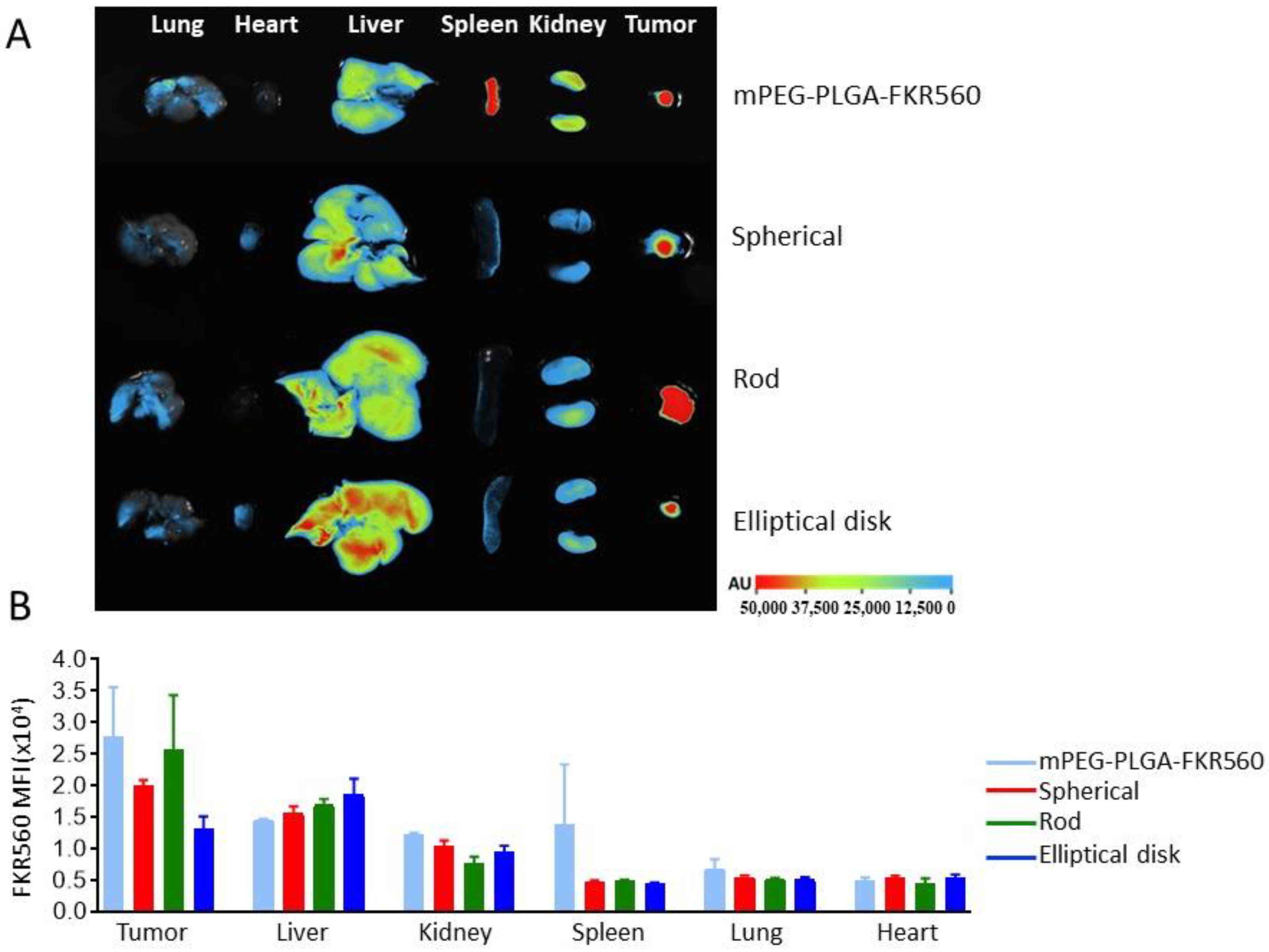 Pharmaceutics 15 00175 g007 Pharmaceutics 15 00175 g007