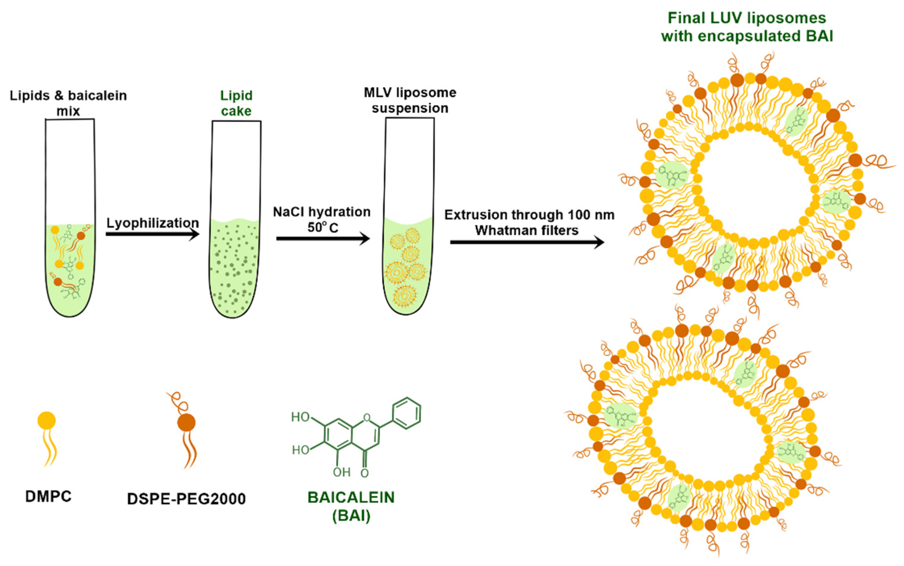 Pharmaceutics 15 00179 g001 Pharmaceutics 15 00179 g001
