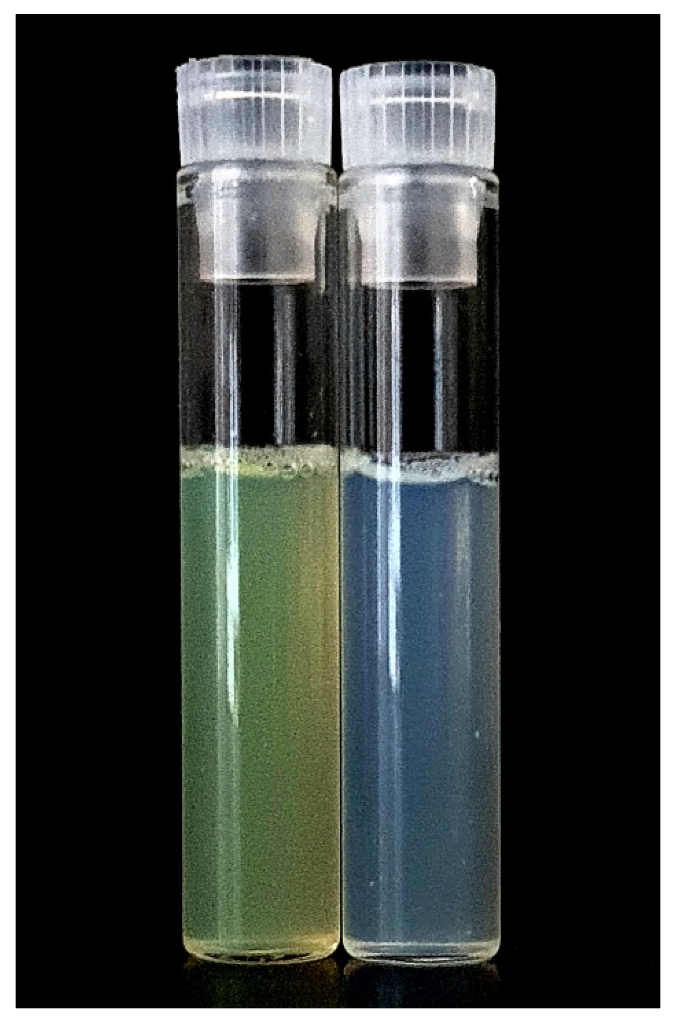 Pharmaceutics 15 00179 g004 Pharmaceutics 15 00179 g004