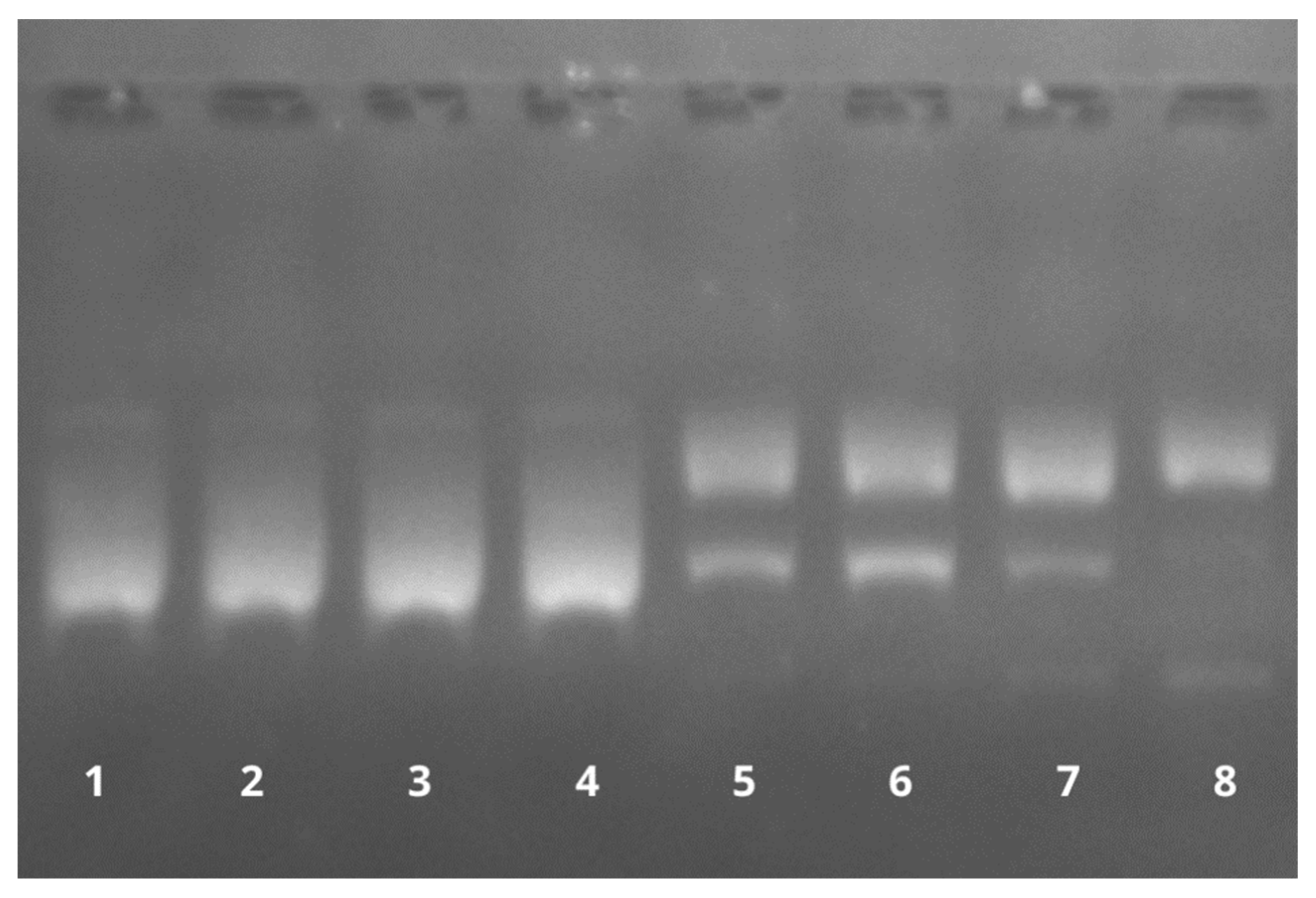 Pharmaceutics 15 00179 g015 Pharmaceutics 15 00179 g015