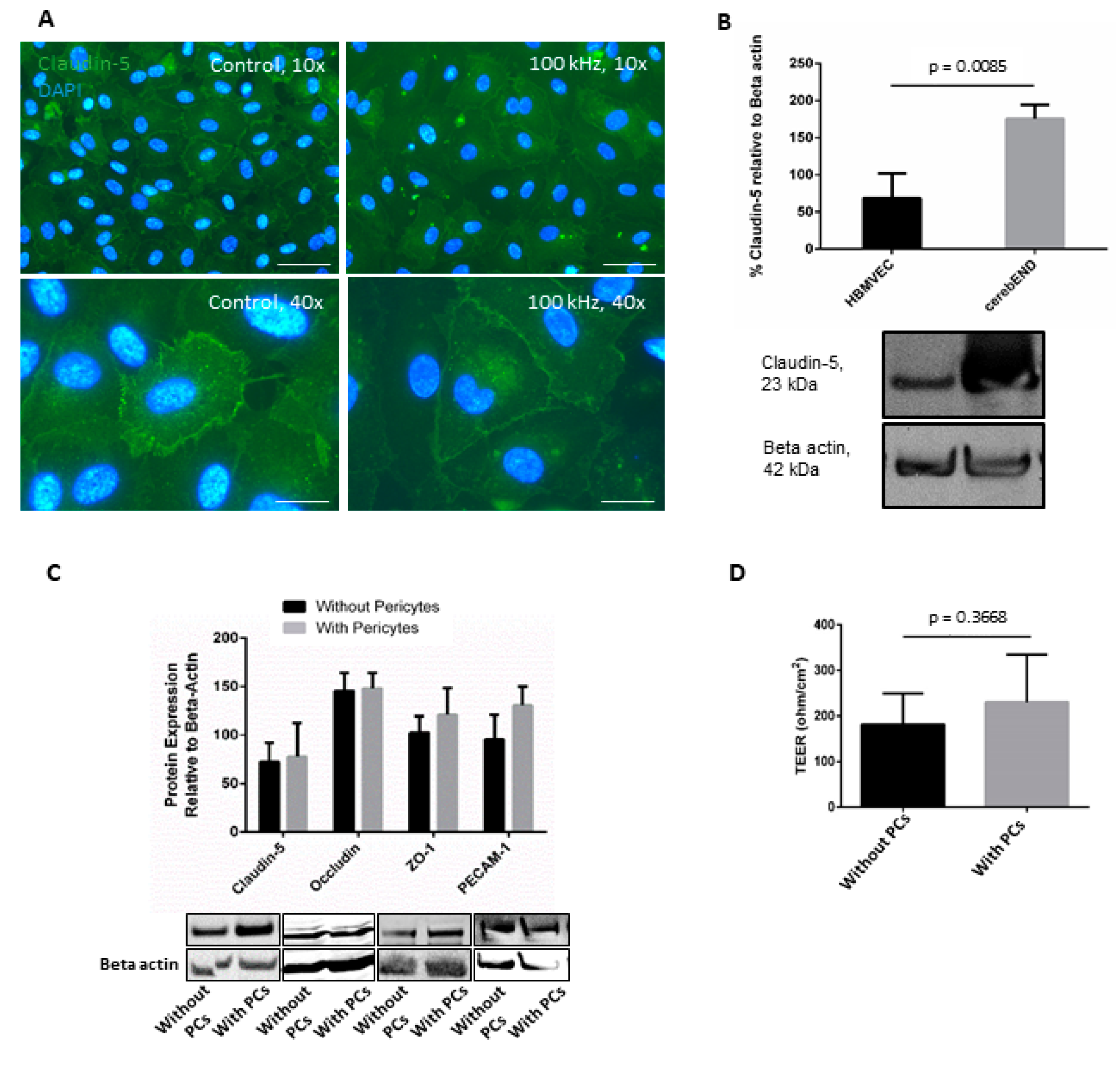 Pharmaceutics 15 00185 g001 Pharmaceutics 15 00185 g001