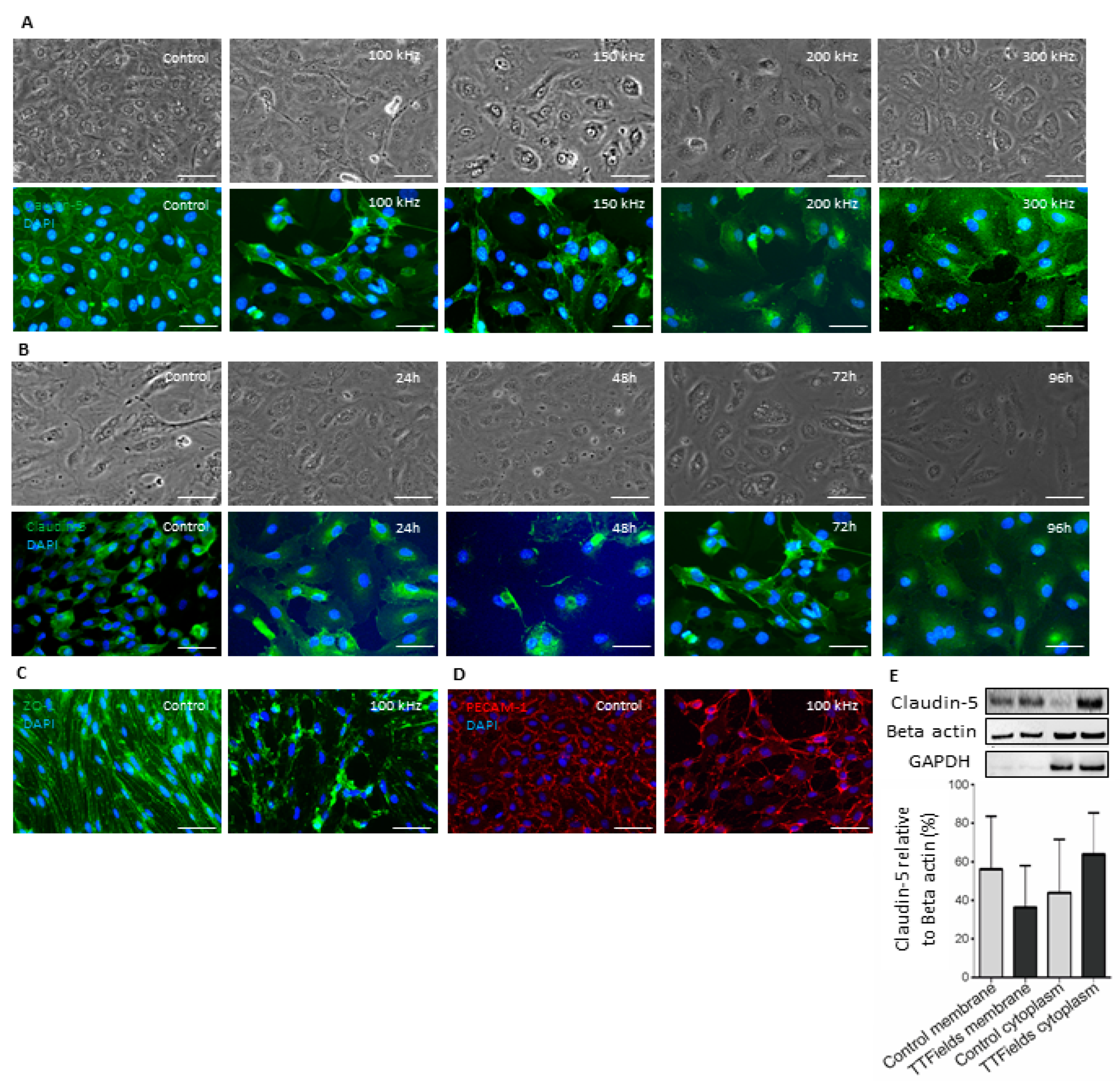 Pharmaceutics 15 00185 g002 Pharmaceutics 15 00185 g002