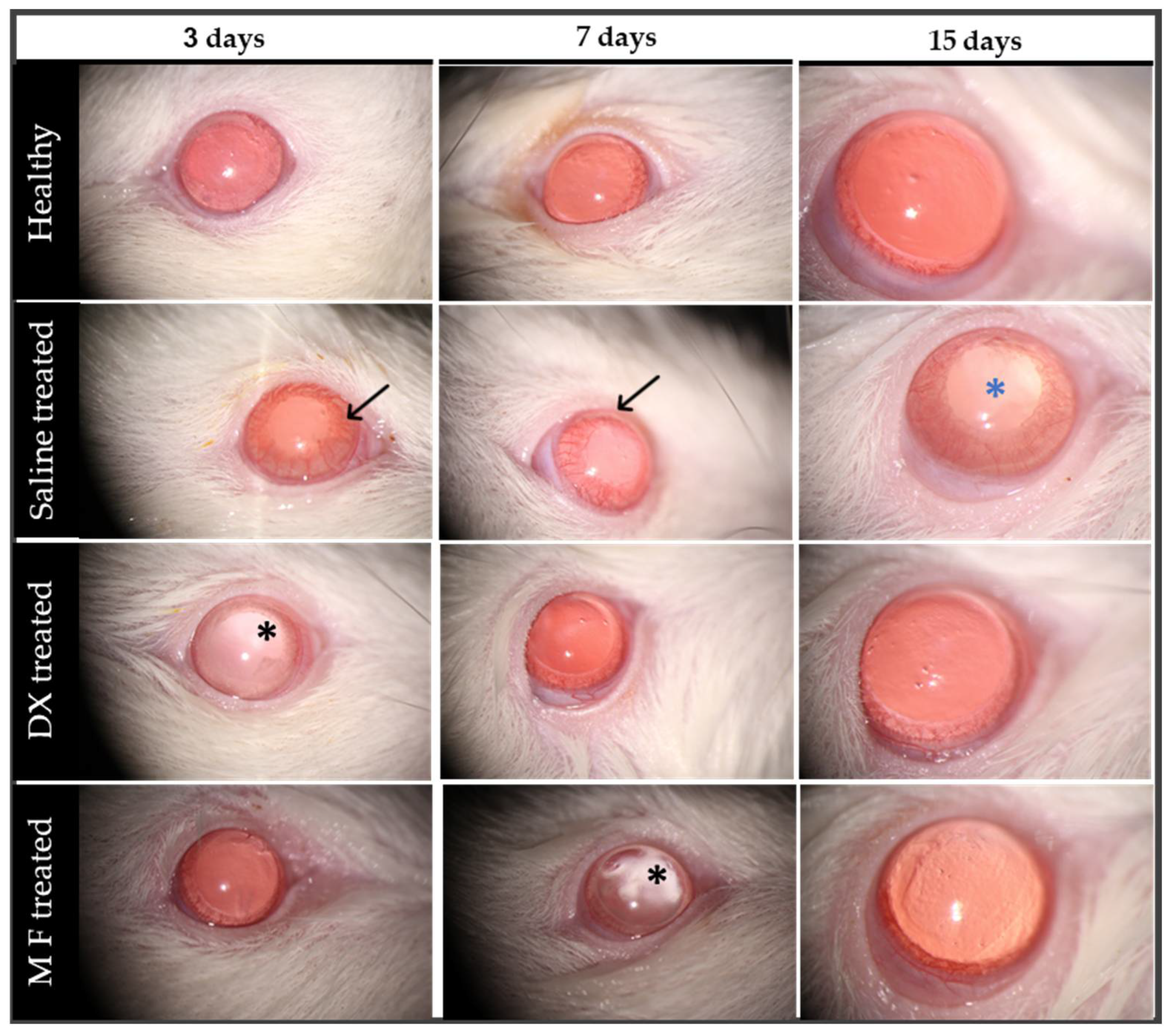 Pharmaceutics 15 00193 g004 Pharmaceutics 15 00193 g004