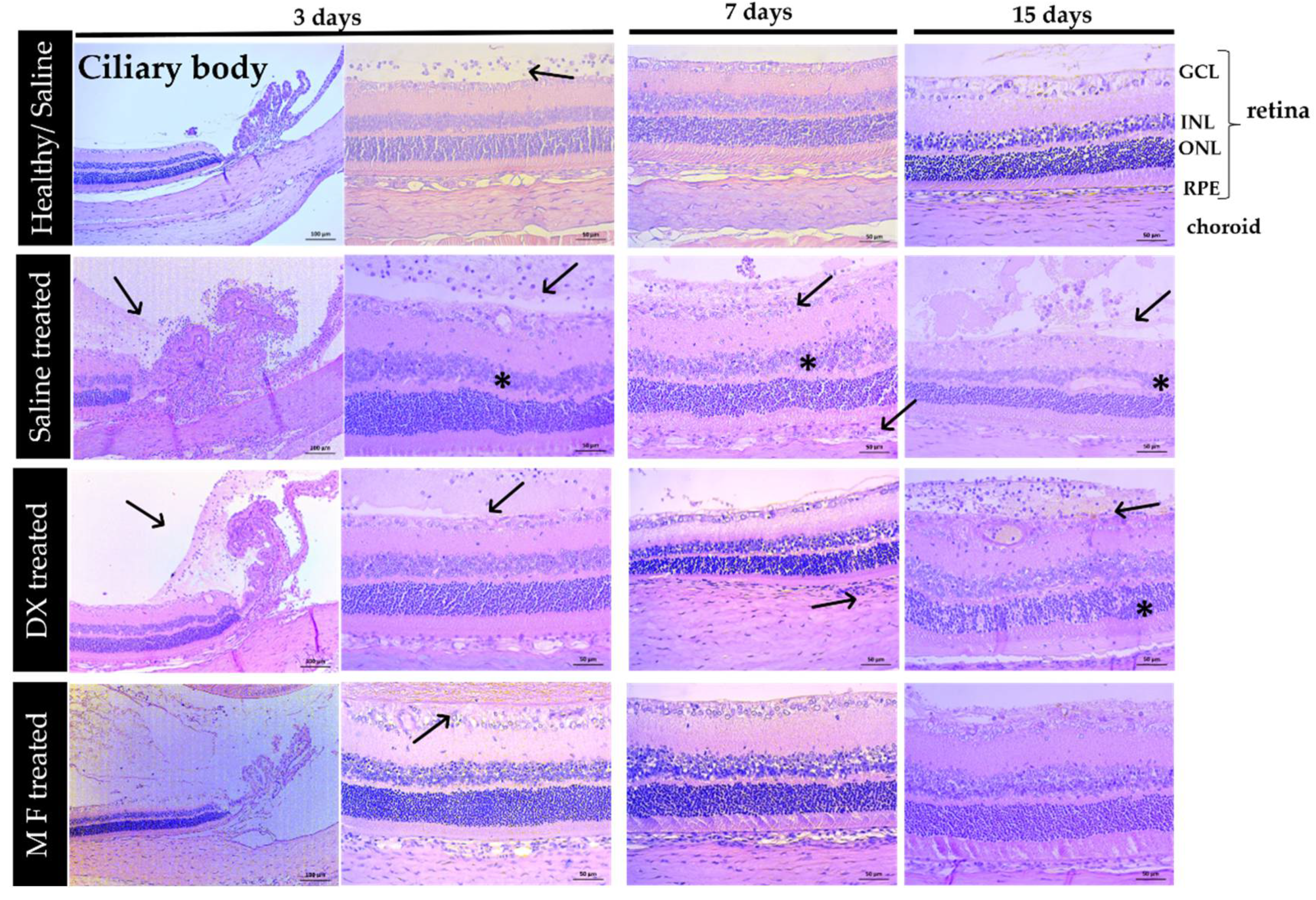 Pharmaceutics 15 00193 g007 Pharmaceutics 15 00193 g007