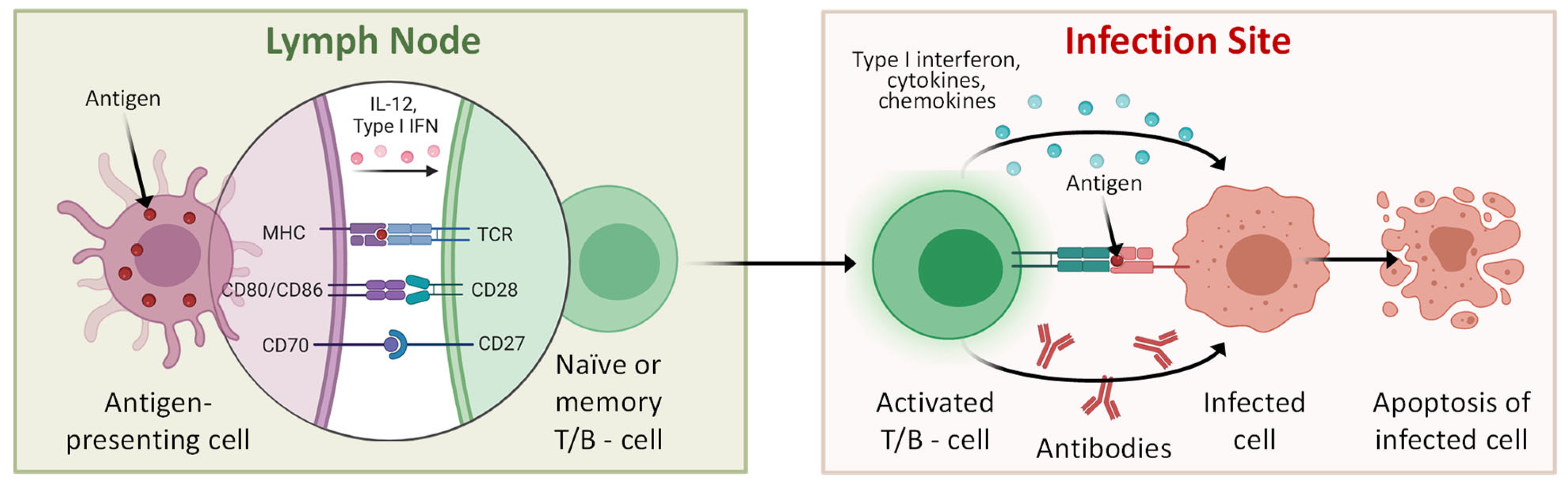 Pharmaceutics 15 00194 g003