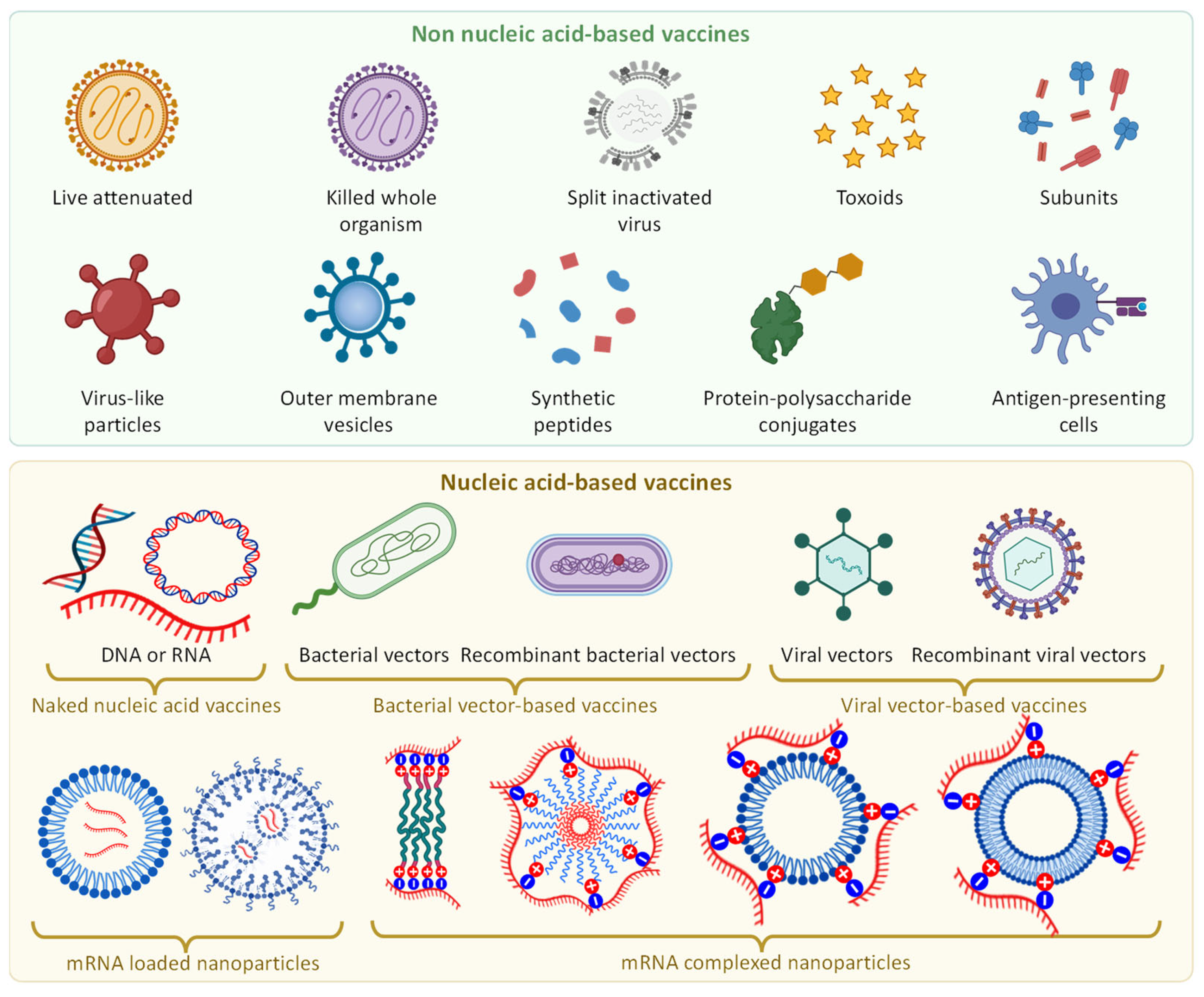 Pharmaceutics 15 00194 g004