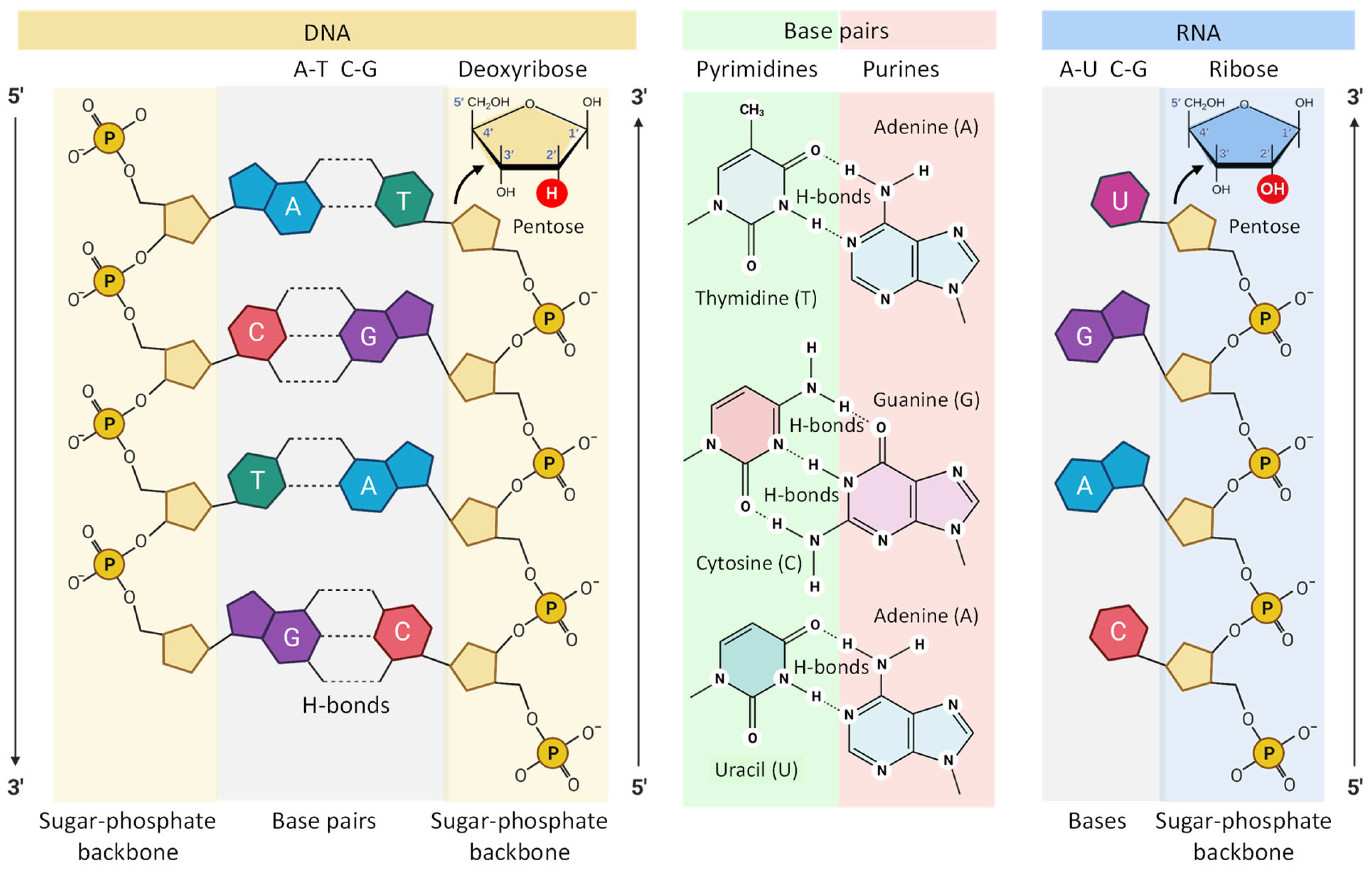 Pharmaceutics 15 00194 g005