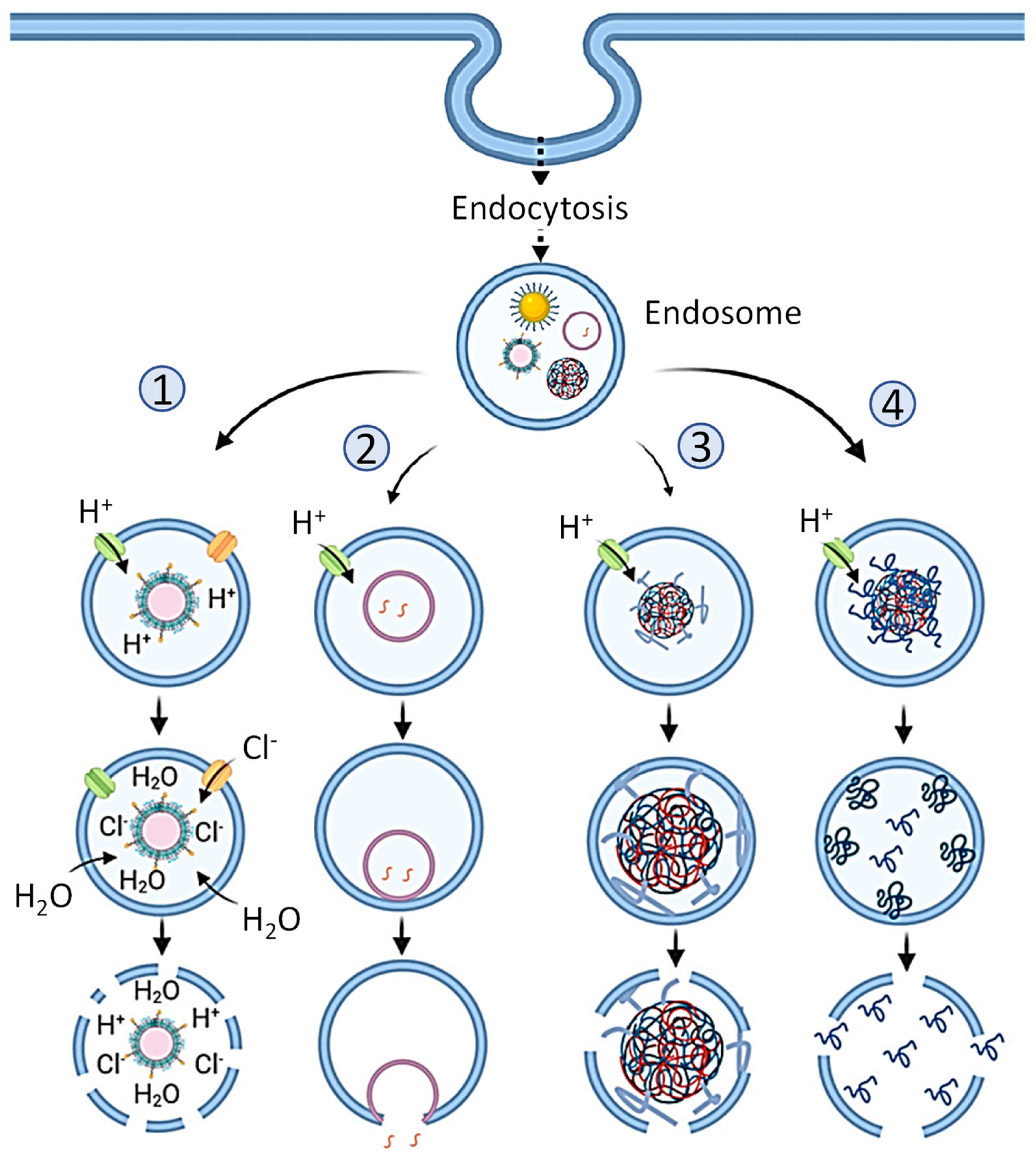 Pharmaceutics 15 00194 g010