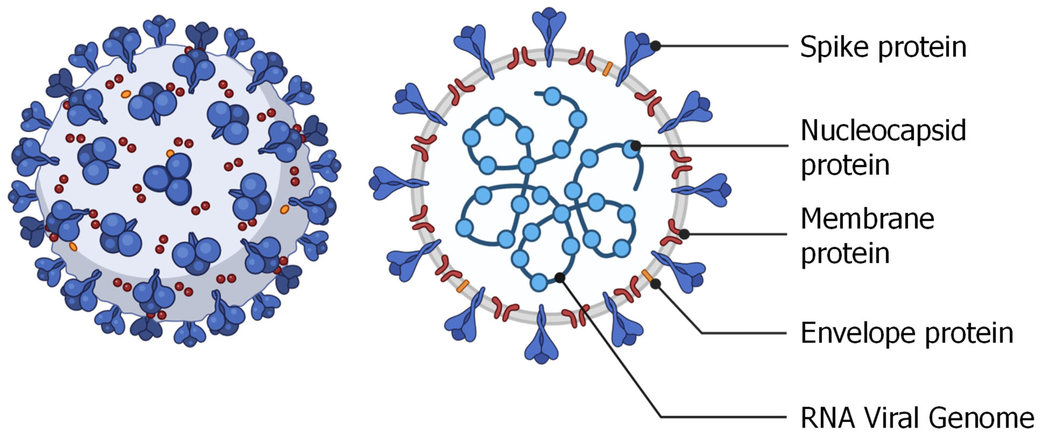 Pharmaceutics 15 00194 g011