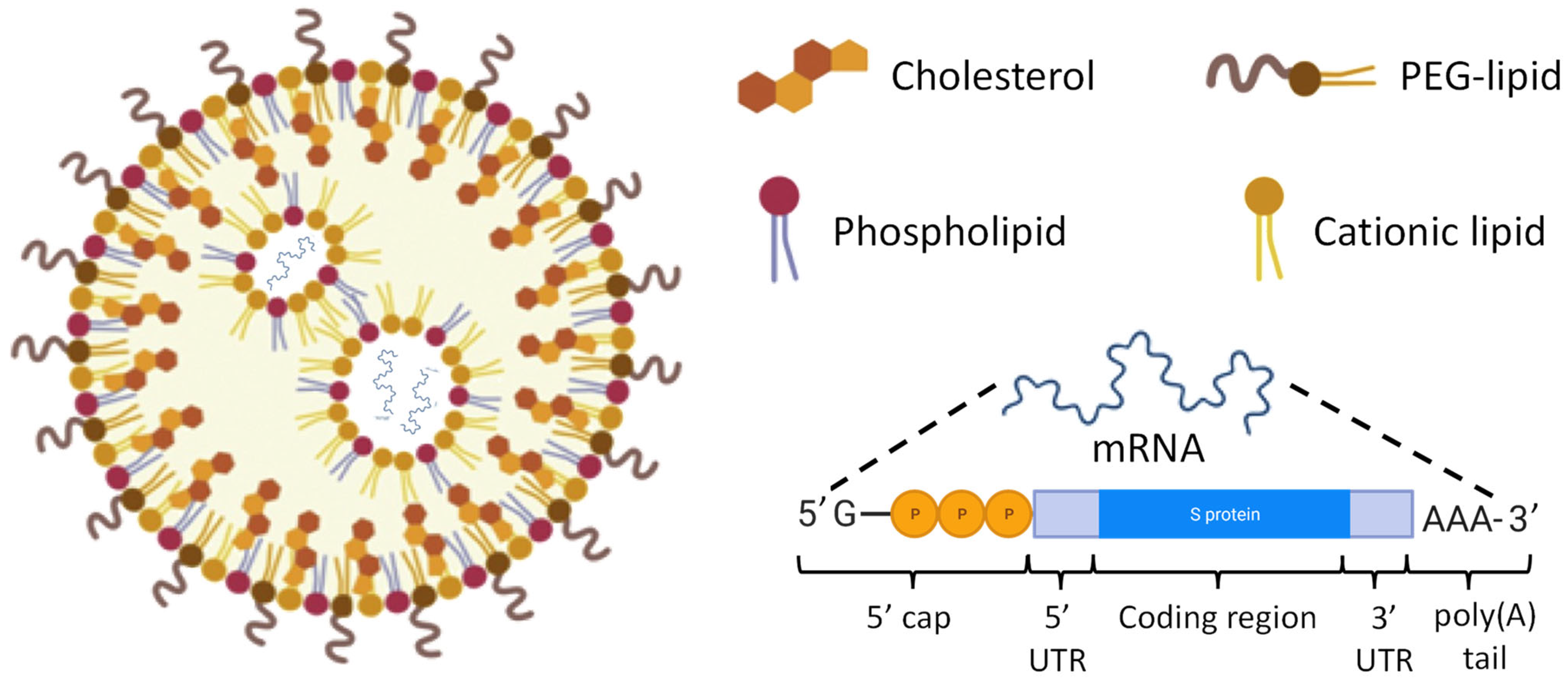 Pharmaceutics 15 00194 g013