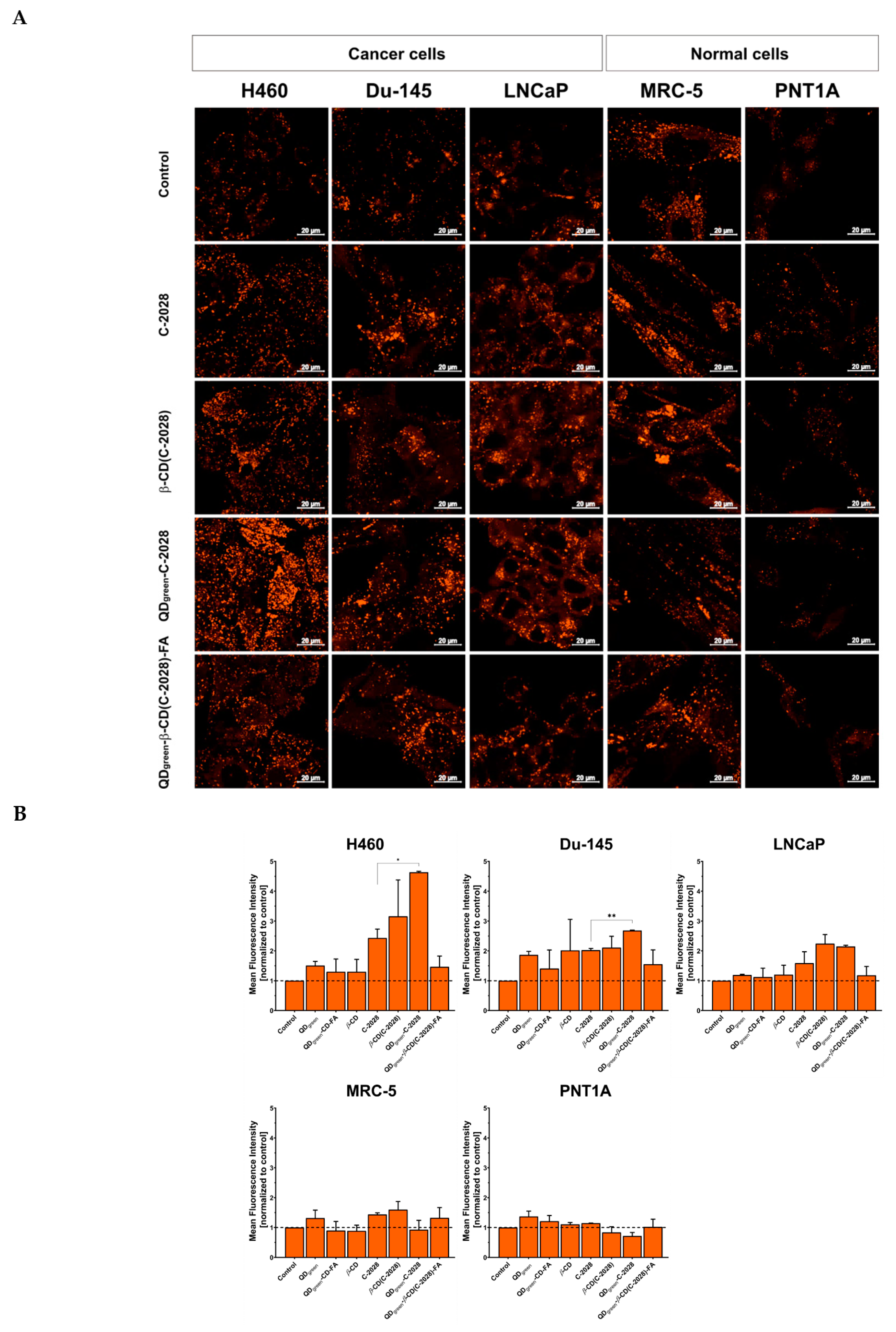 Pharmaceutics 15 00201 g006