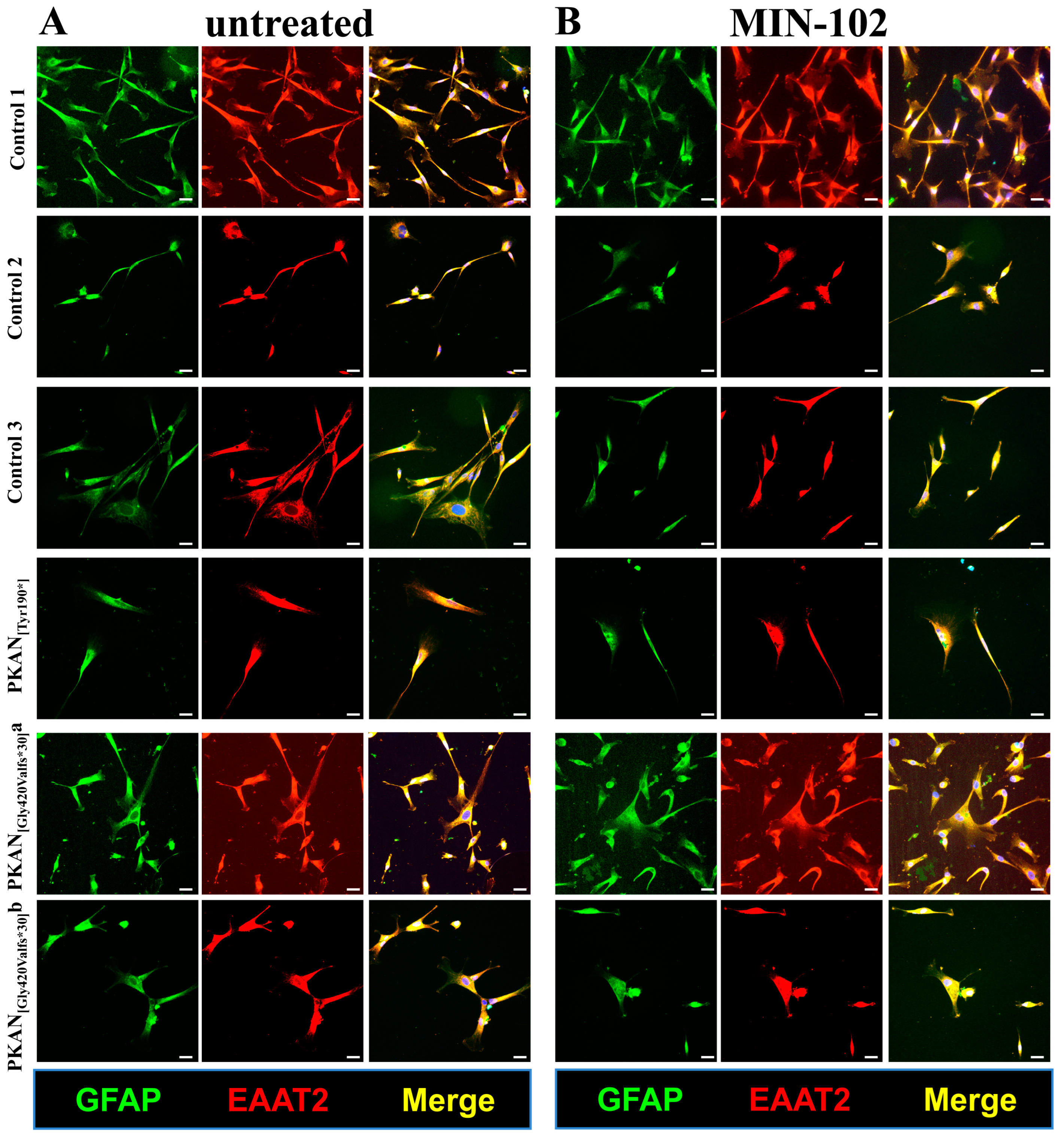 Pharmaceutics 15 00202 g001