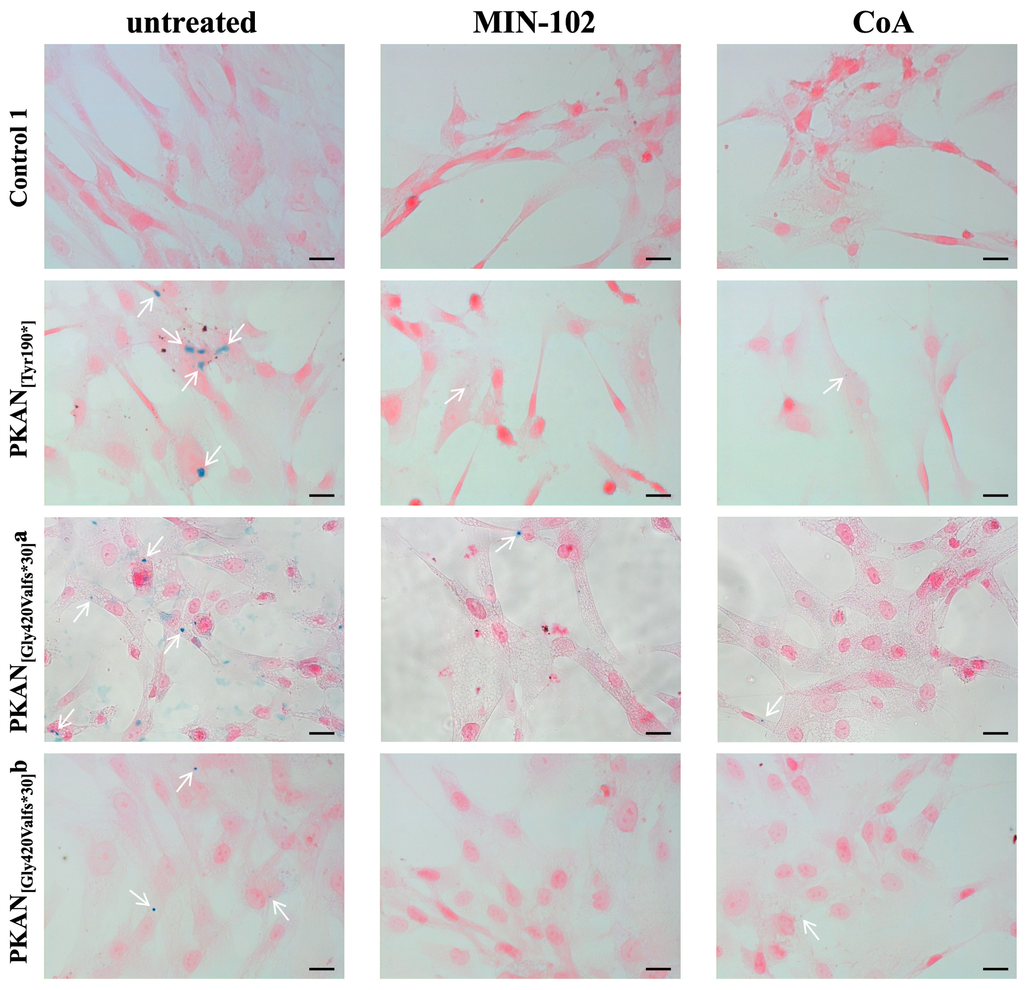 Pharmaceutics 15 00202 g005