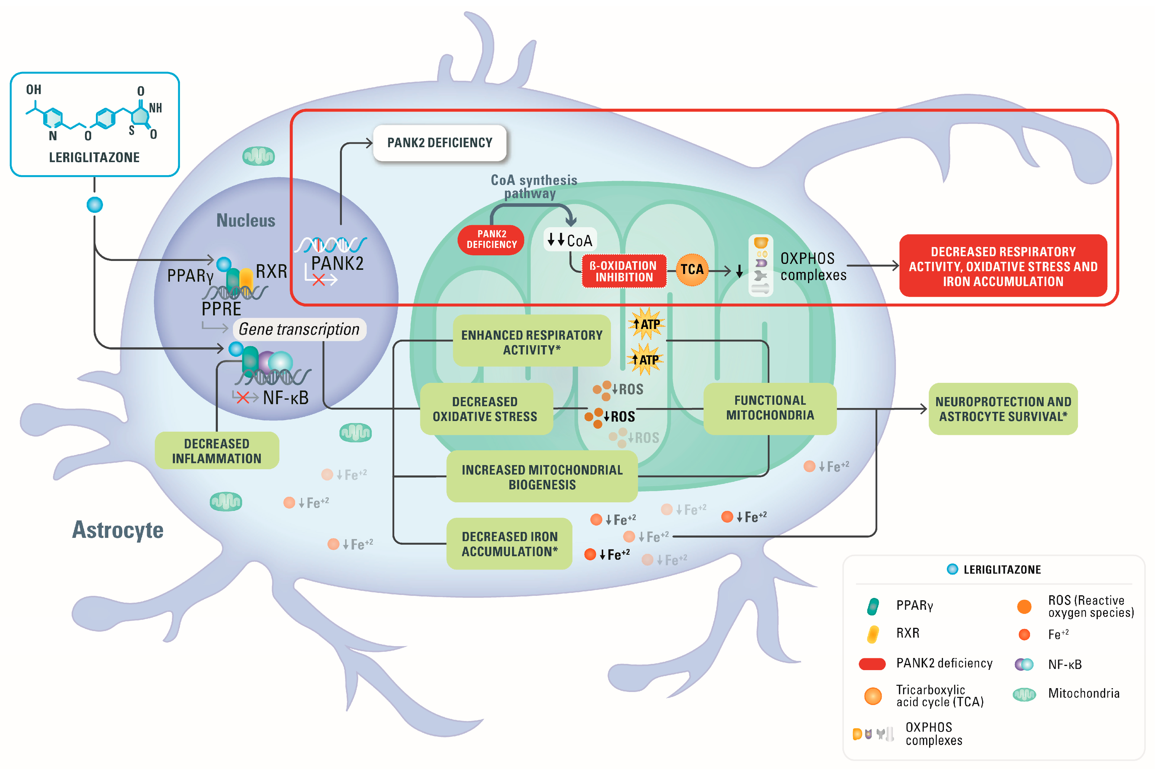 Pharmaceutics 15 00202 g006