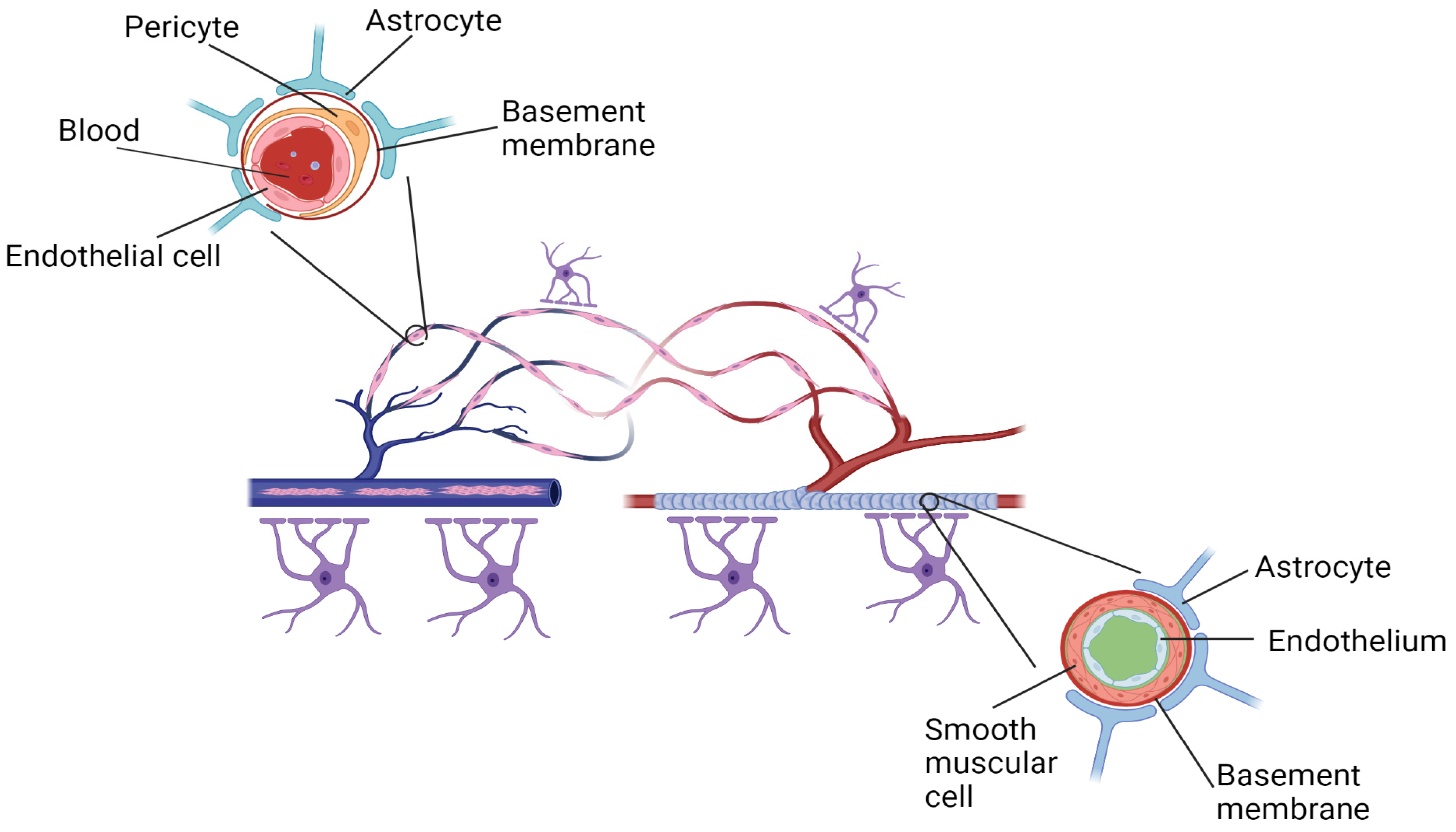 Pharmaceutics 15 00204 g002 Pharmaceutics 15 00204 g002