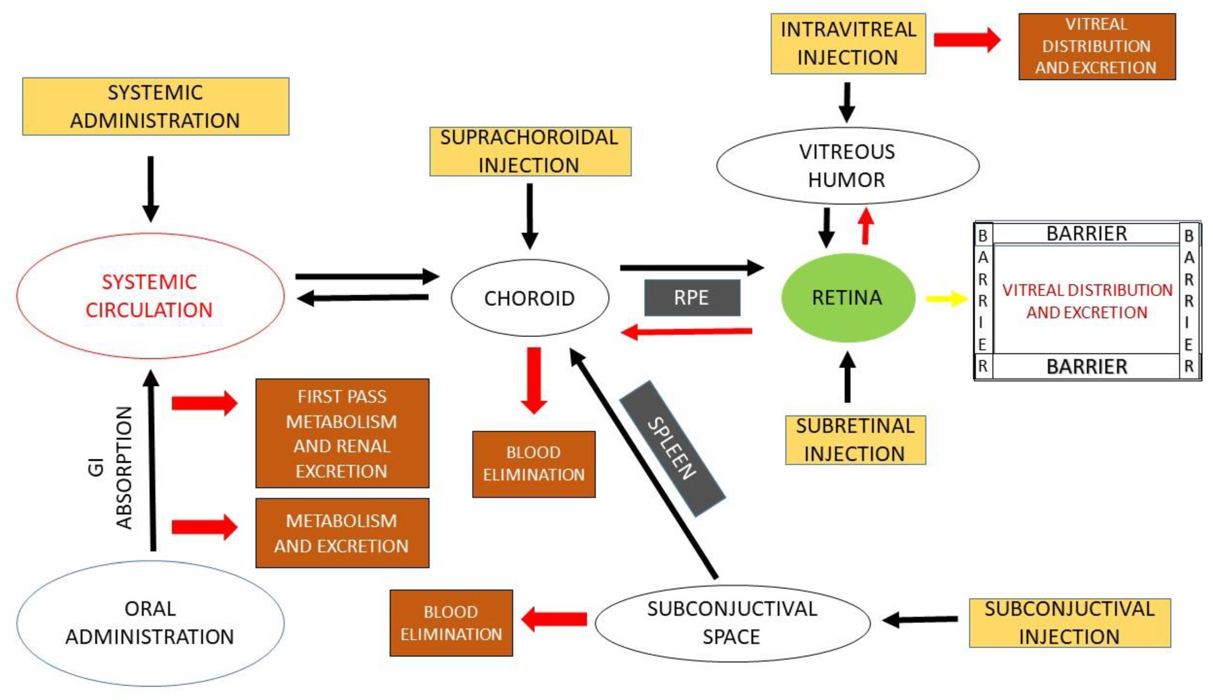 Pharmaceutics 15 00205 g002 Pharmaceutics 15 00205 g002