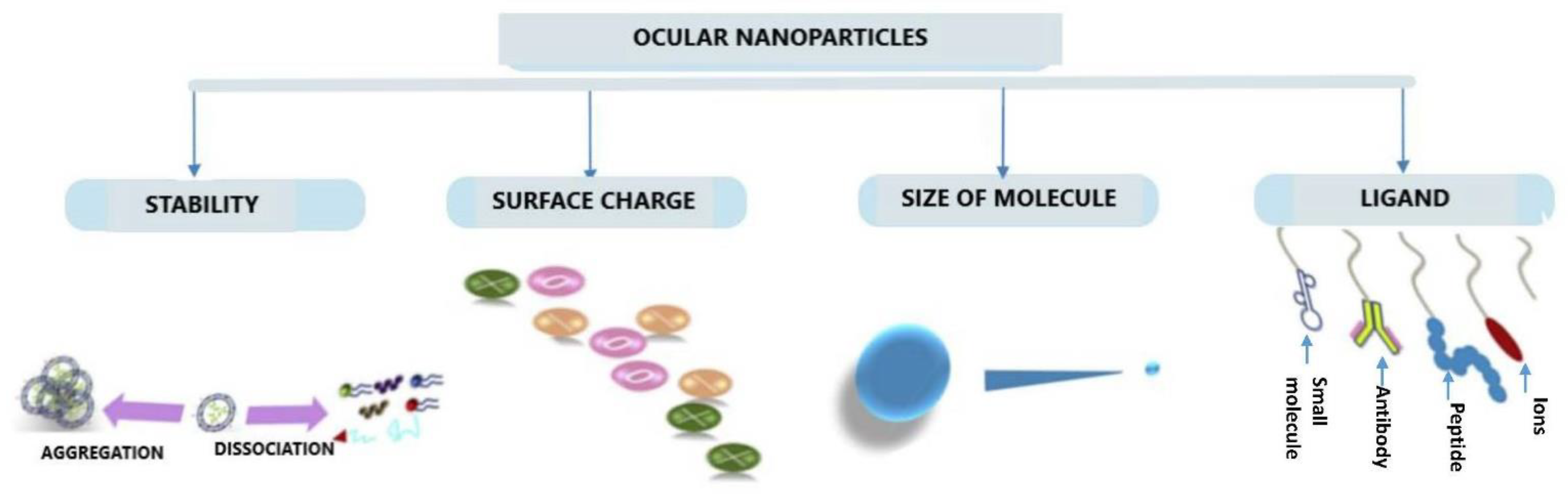 Pharmaceutics 15 00205 g003 Pharmaceutics 15 00205 g003
