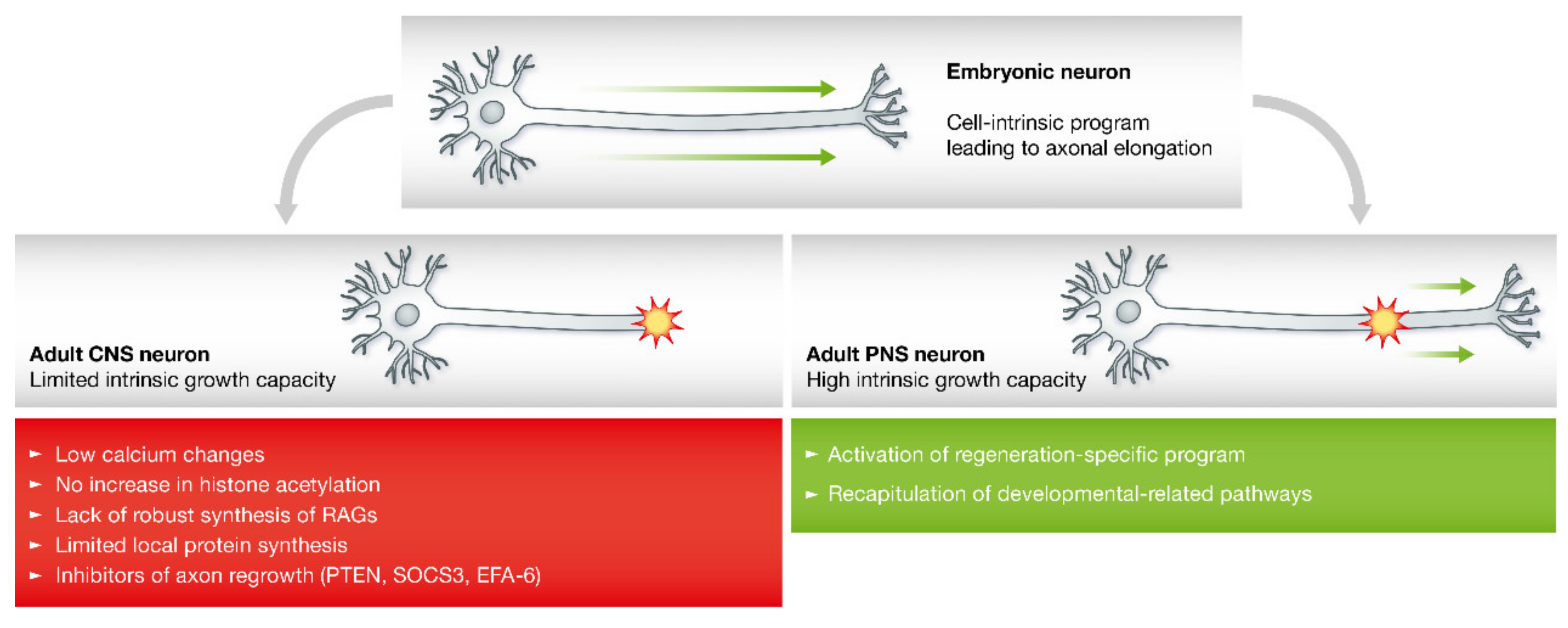 Pharmaceutics 15 00210 g002