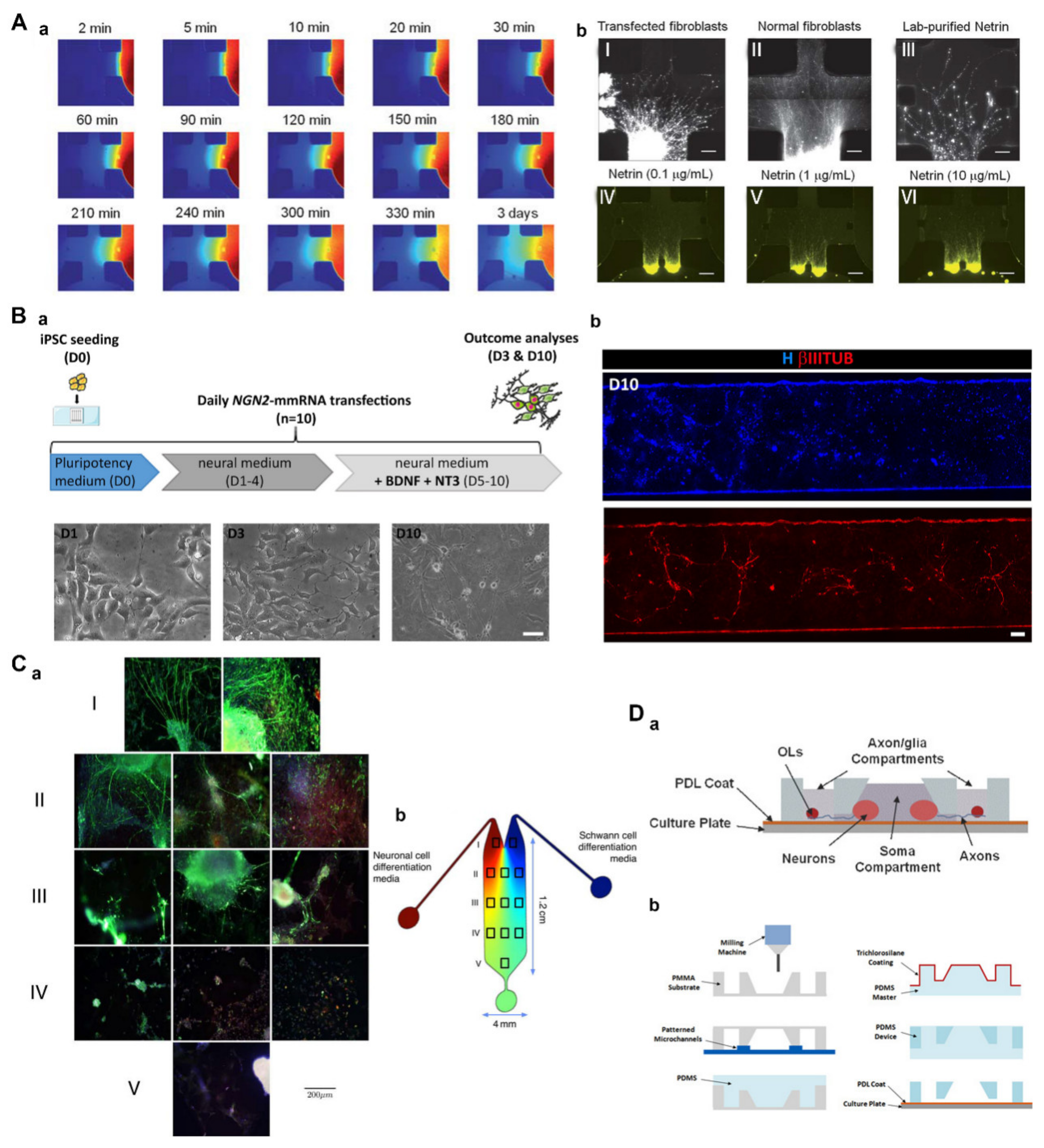 Pharmaceutics 15 00210 g004