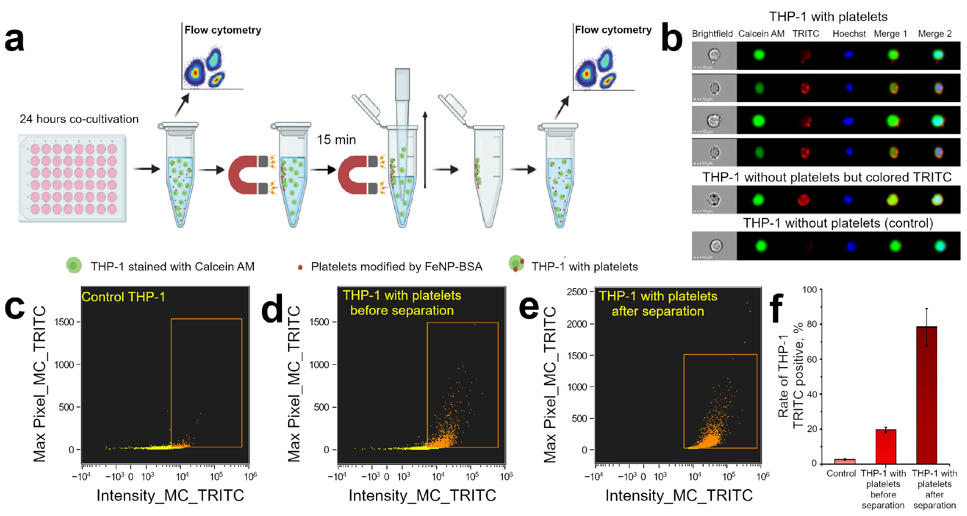 Pharmaceutics 15 00214 g006 Pharmaceutics 15 00214 g006
