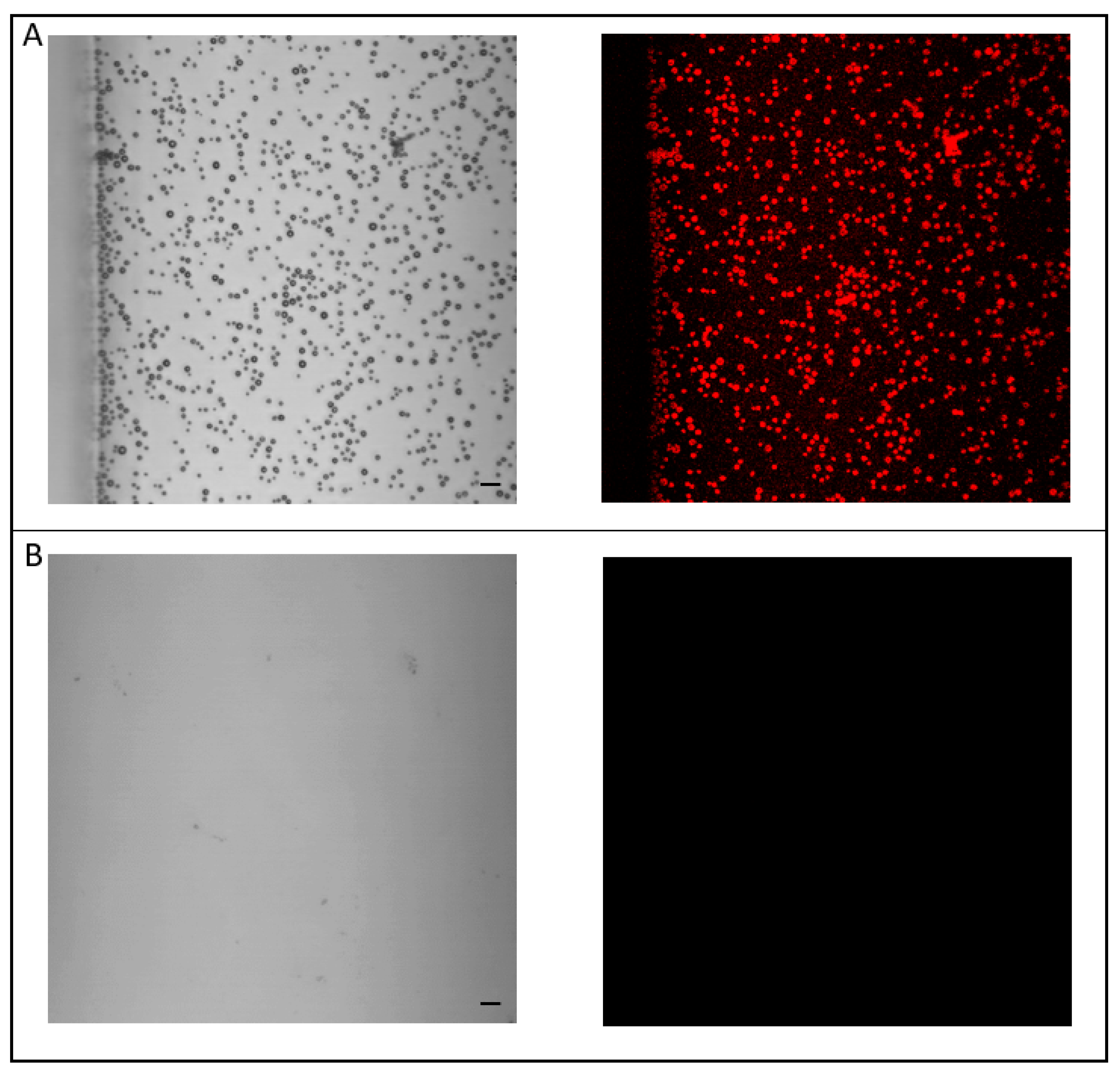 Pharmaceutics 15 00217 g003 Pharmaceutics 15 00217 g003