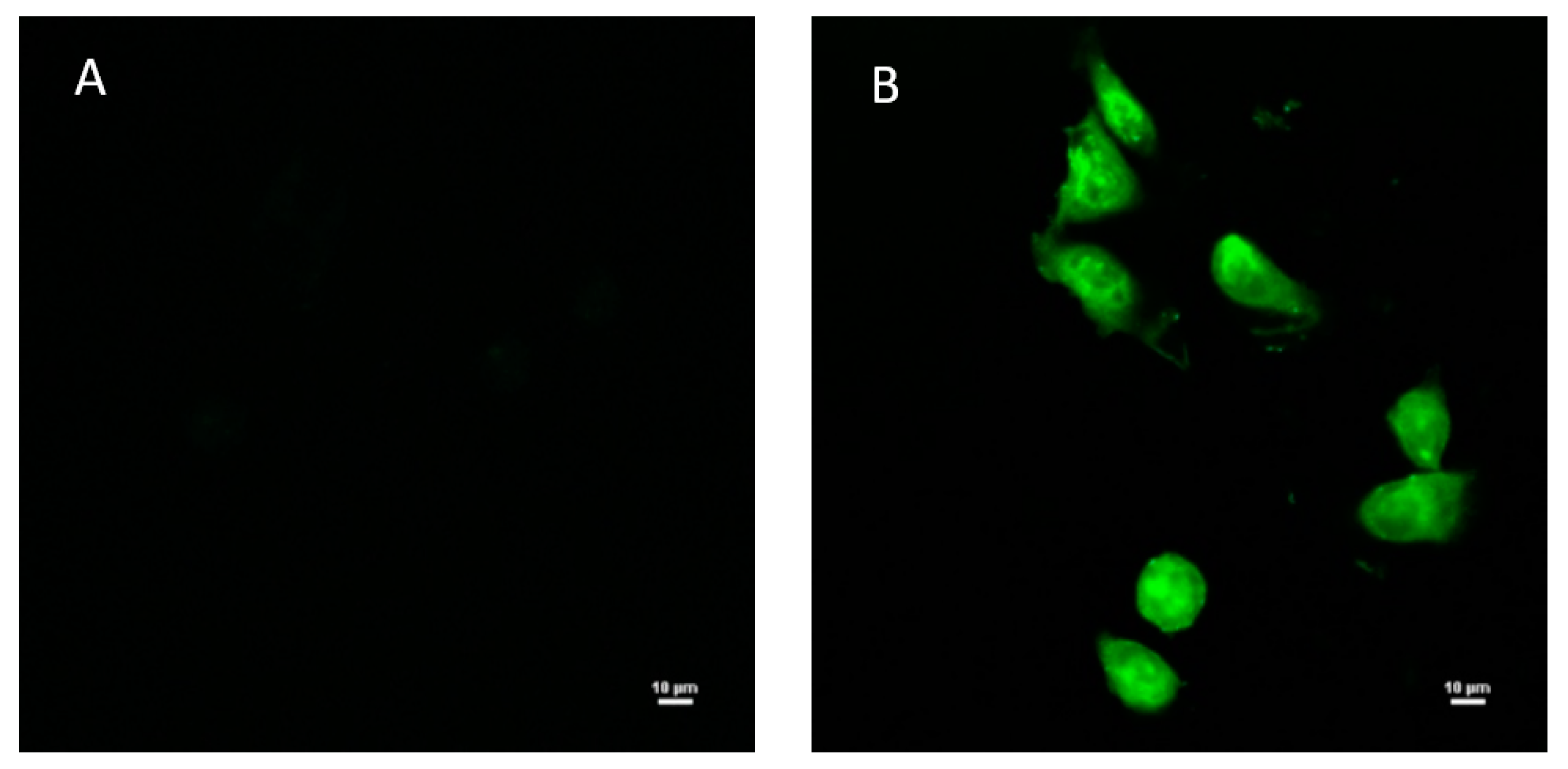 Pharmaceutics 15 00217 g004 Pharmaceutics 15 00217 g004