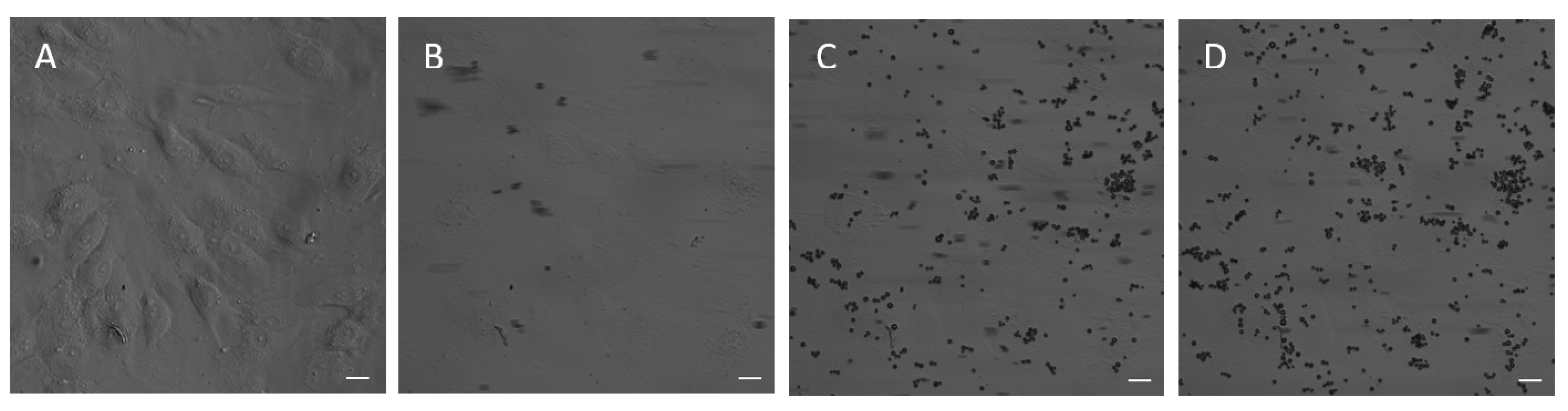 Pharmaceutics 15 00217 g006 Pharmaceutics 15 00217 g006