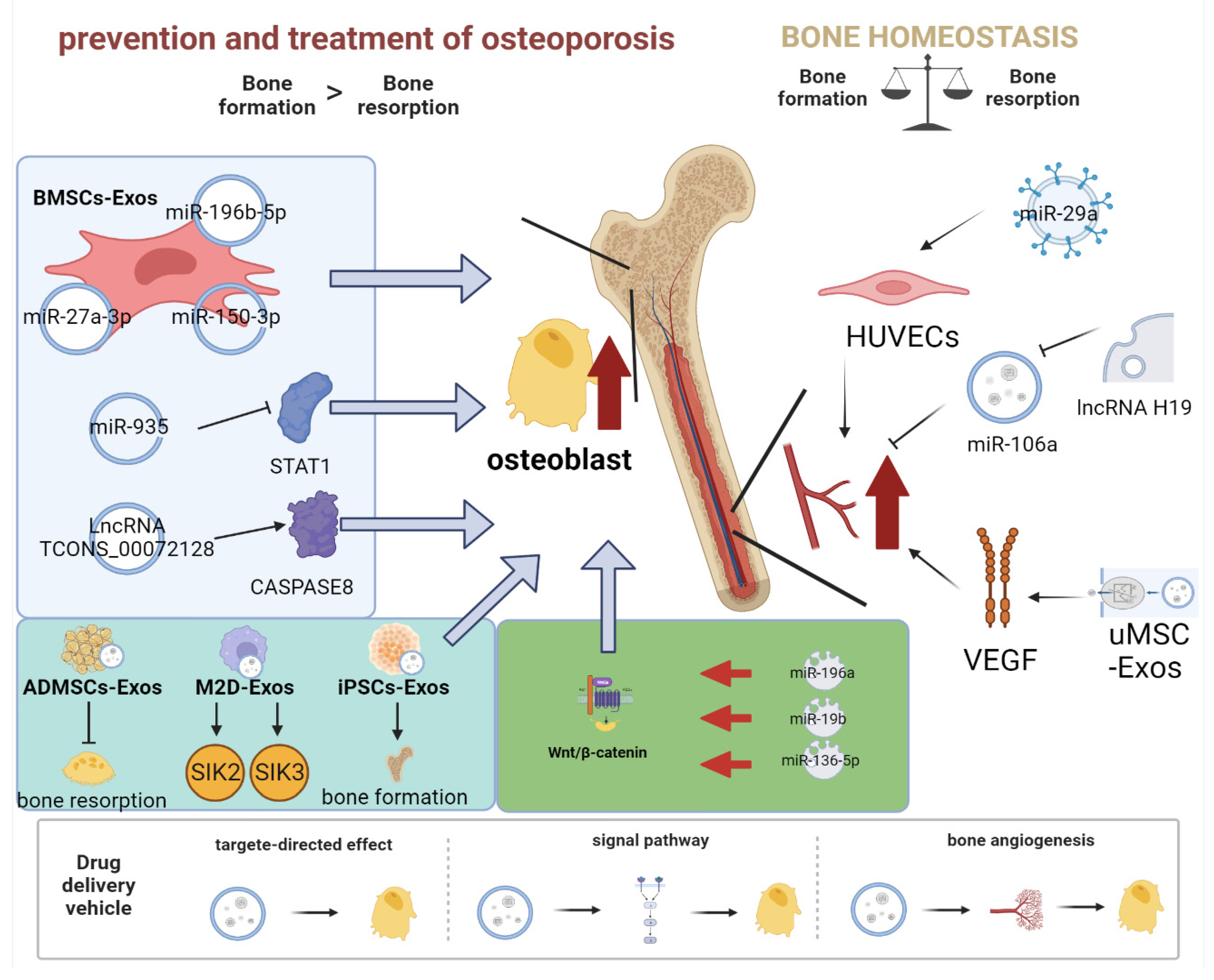 Pharmaceutics 15 00220 g003
