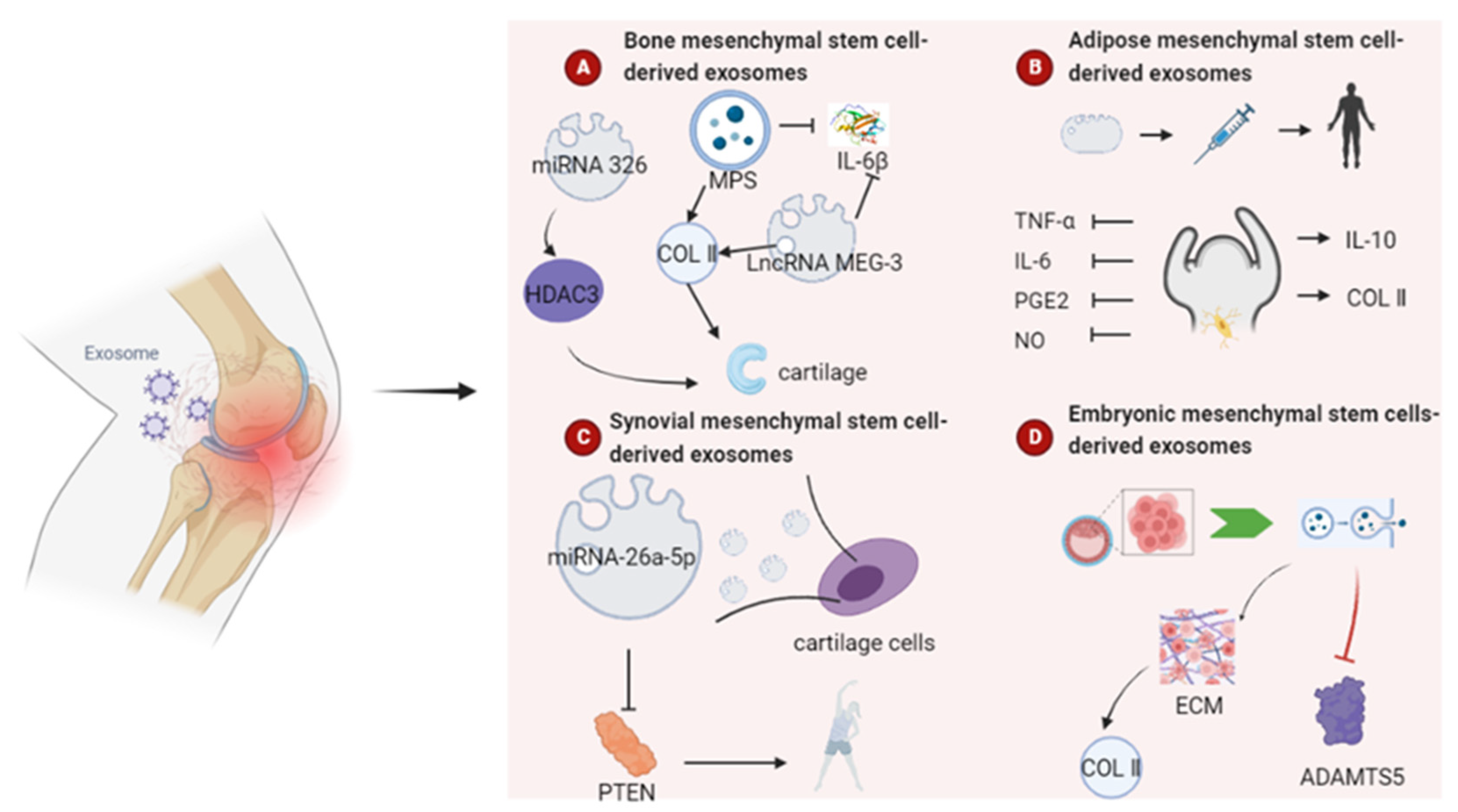 Pharmaceutics 15 00220 g005