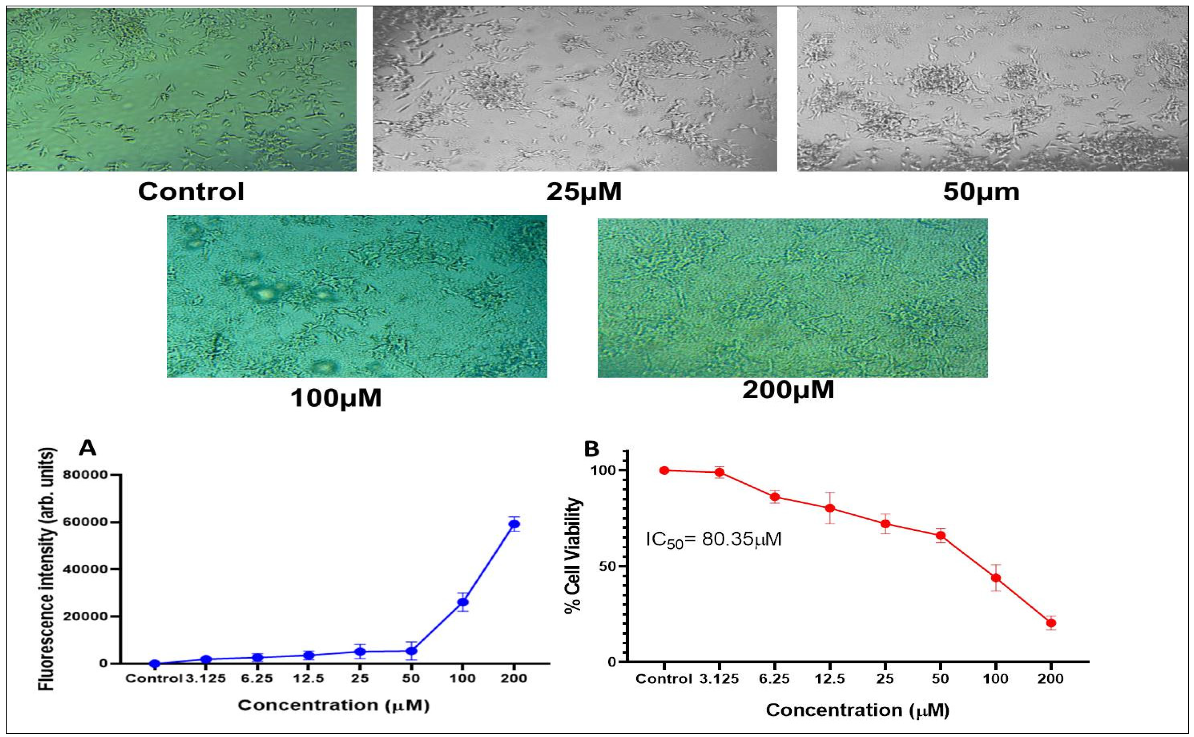 Pharmaceutics 15 00221 g003