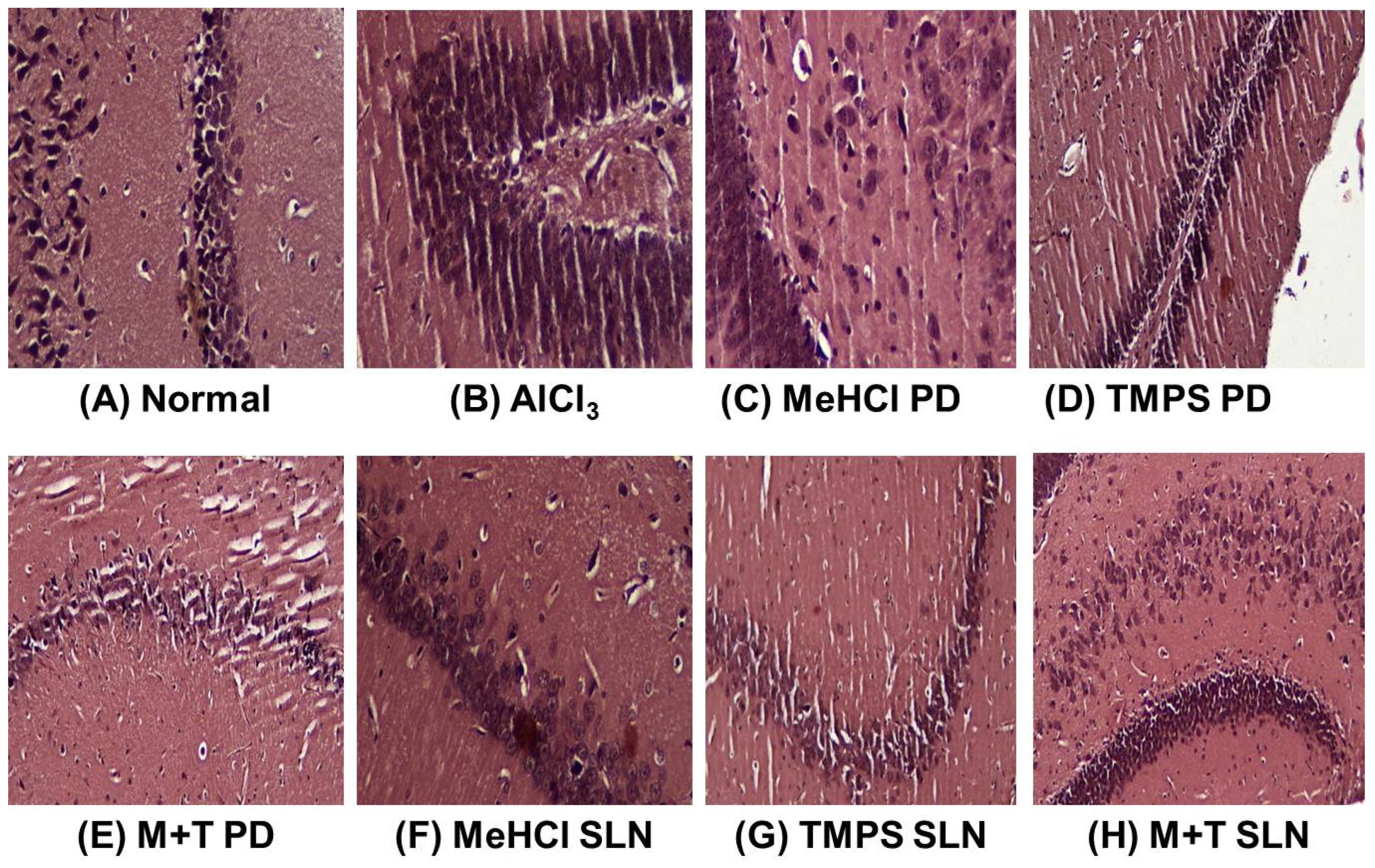 Pharmaceutics 15 00221 g014