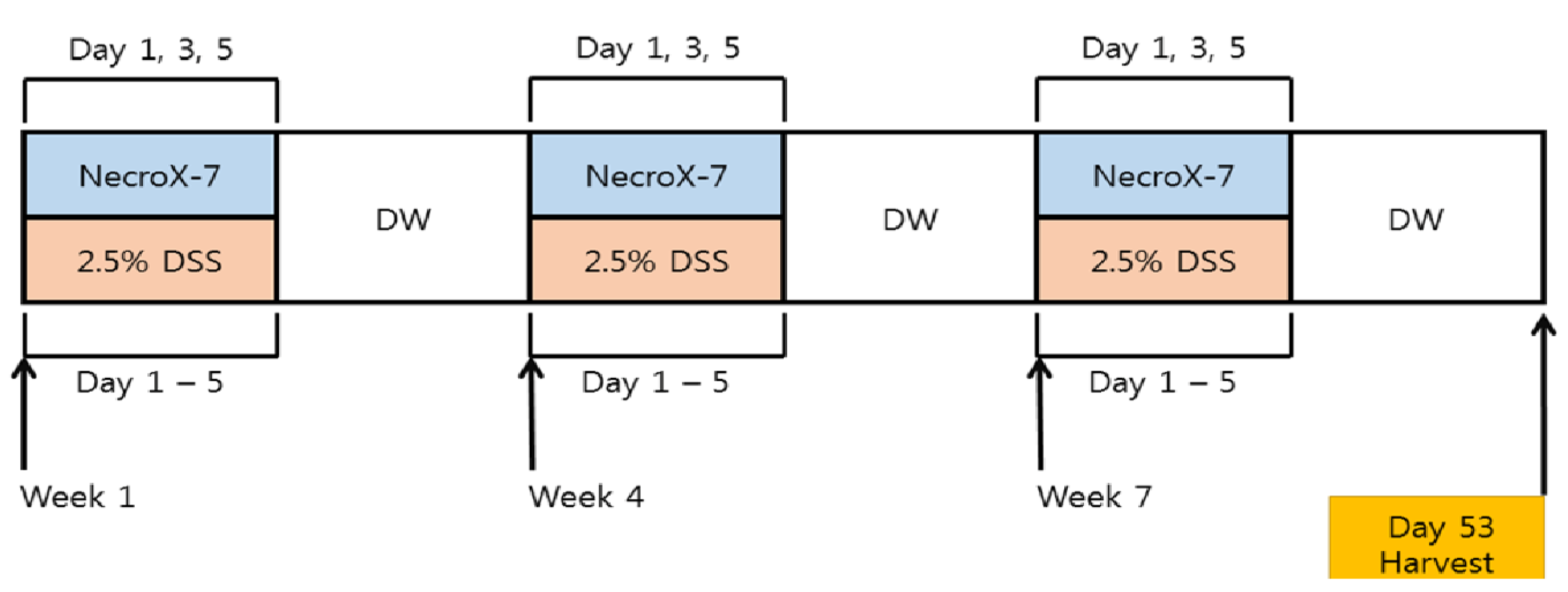 Pharmaceutics 15 00222 g001
