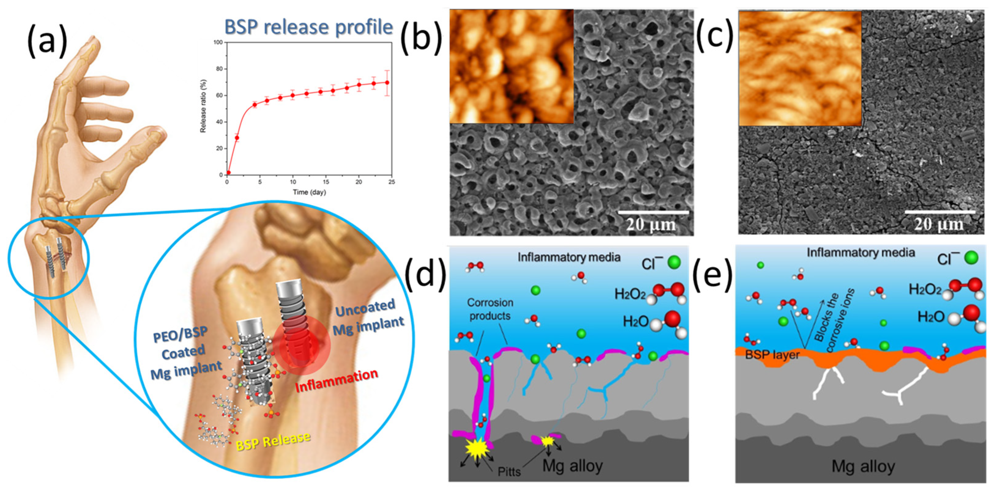 Pharmaceutics 15 00223 g002