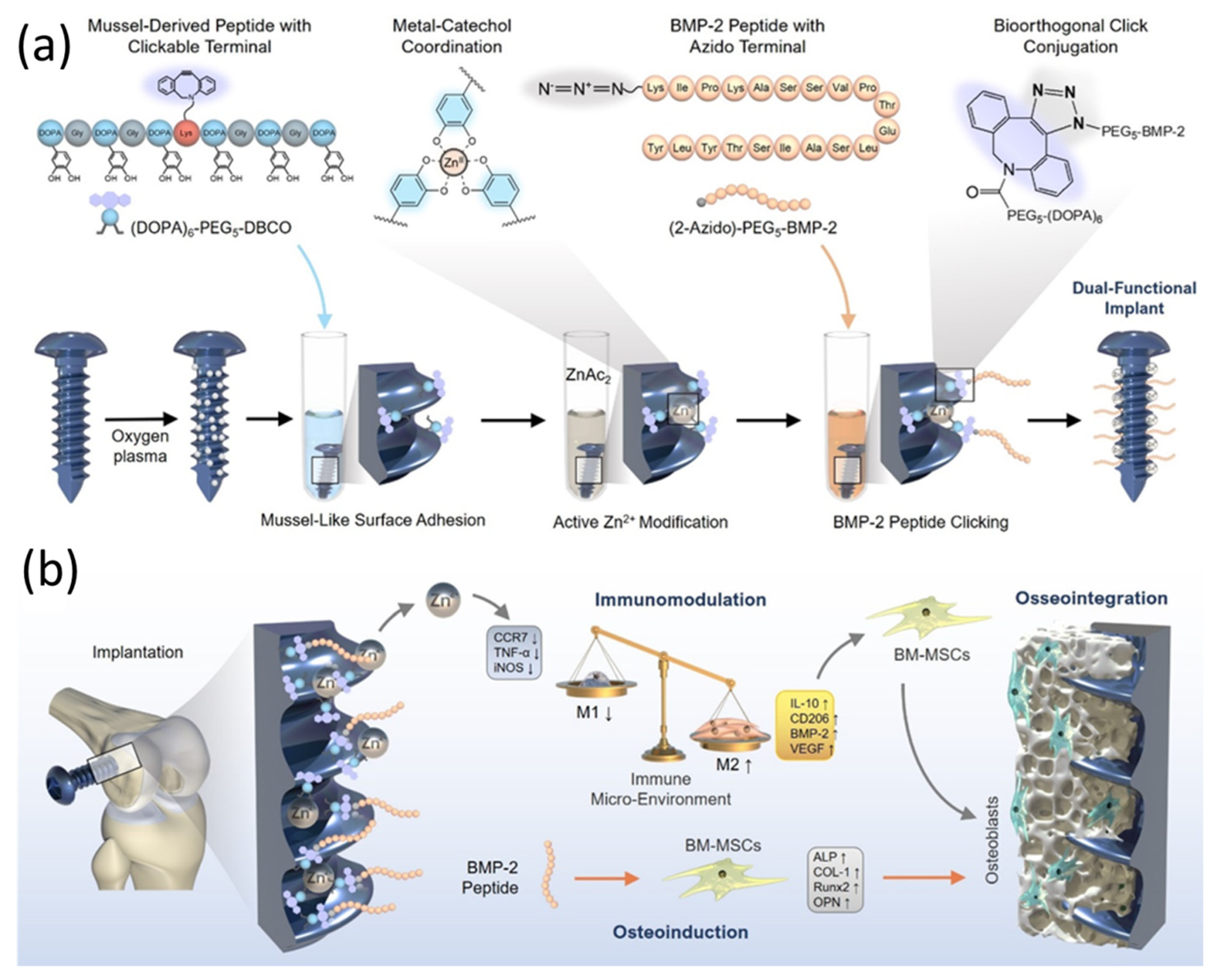 Pharmaceutics 15 00223 g004