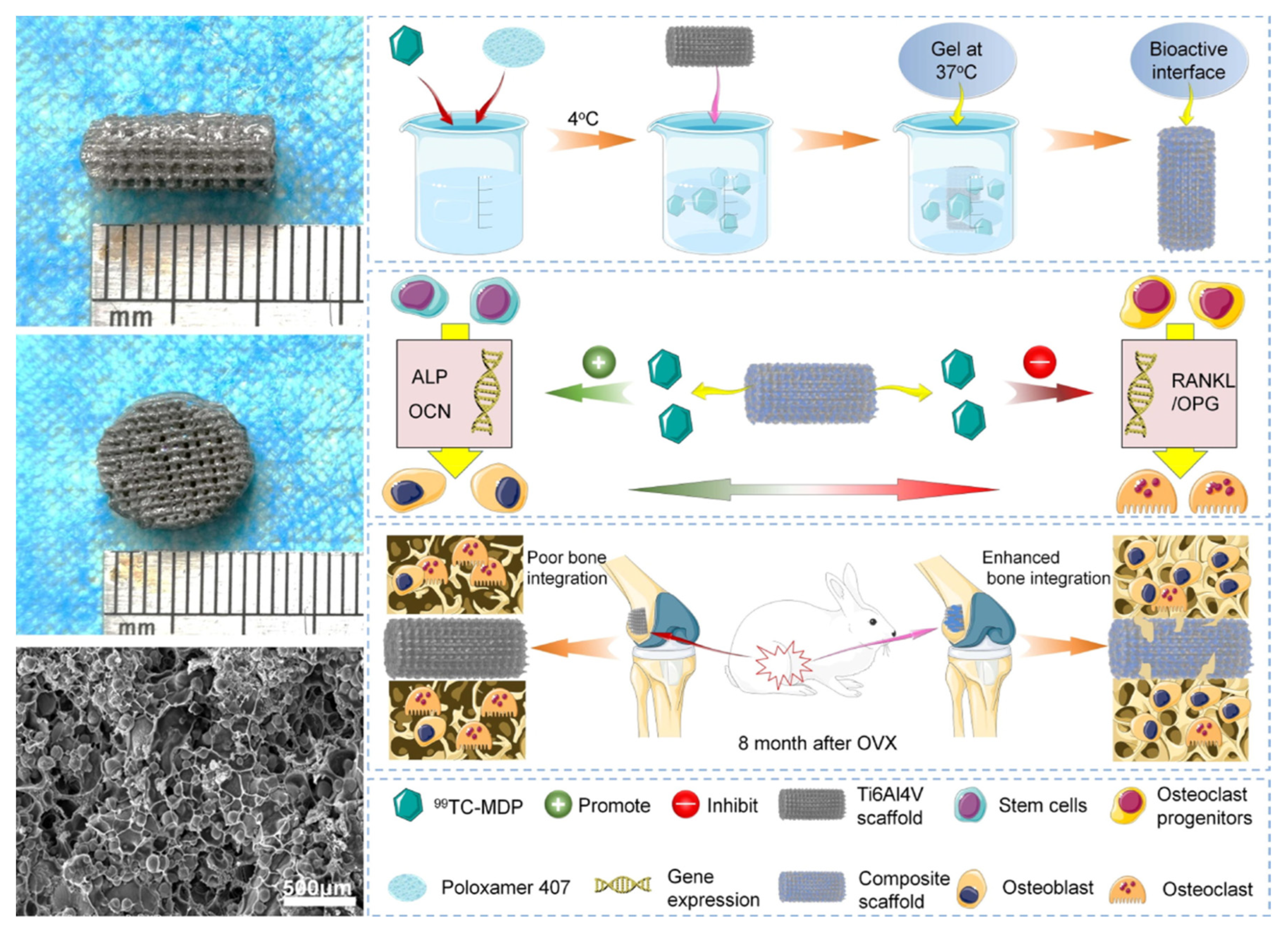 Pharmaceutics 15 00223 g005