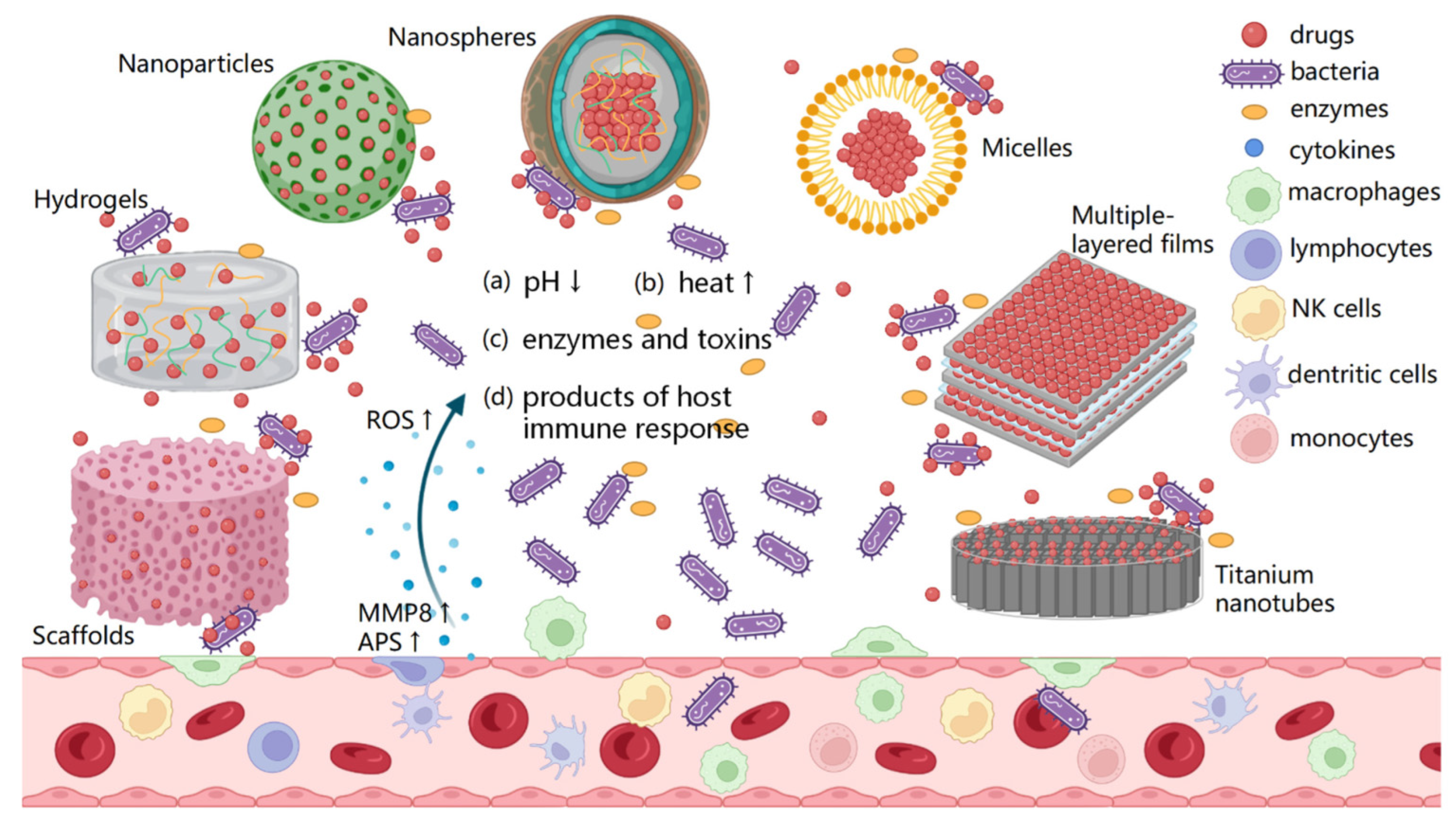 Pharmaceutics 15 00223 g007