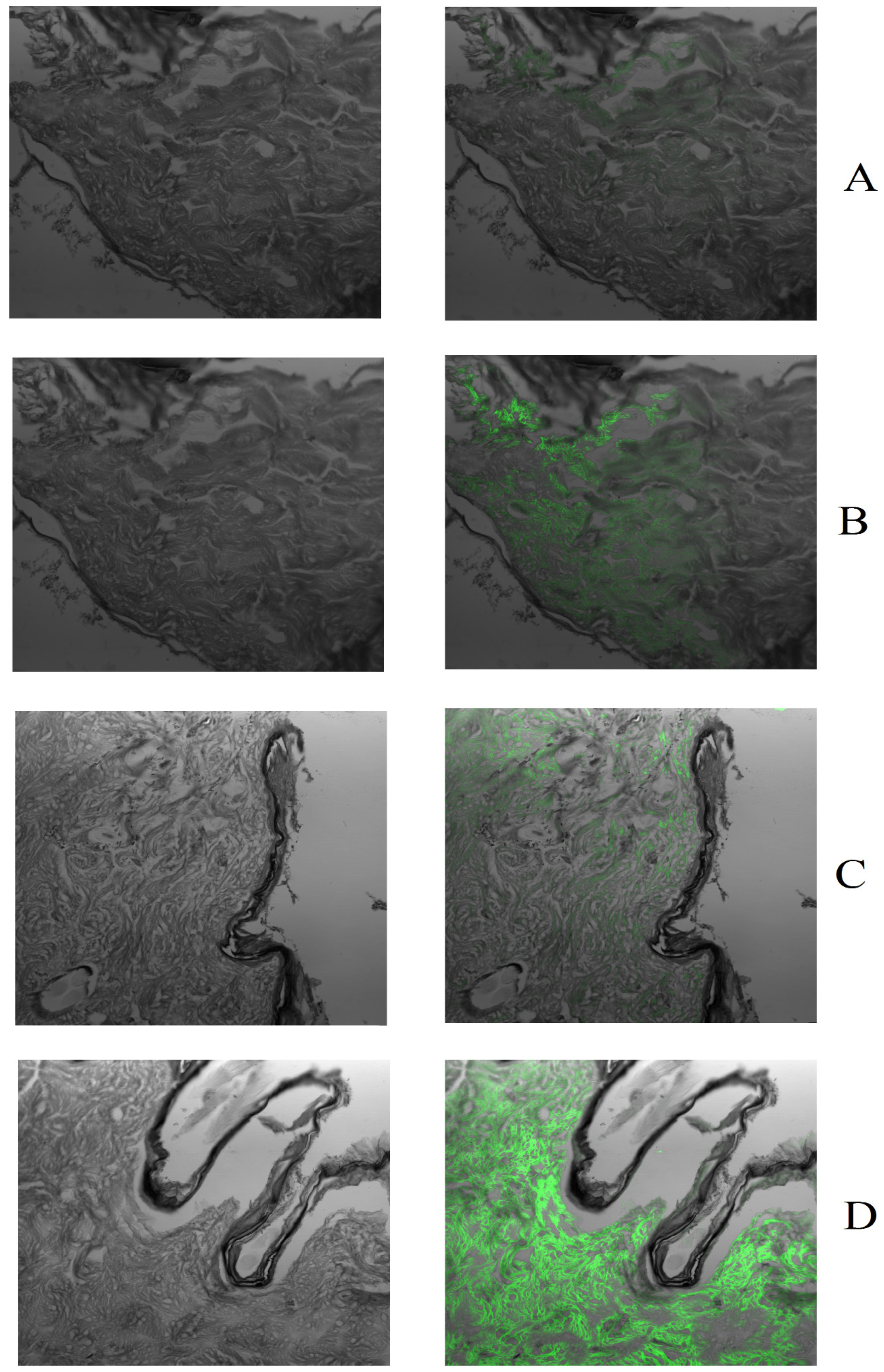 Pharmaceutics 15 00224 g009
