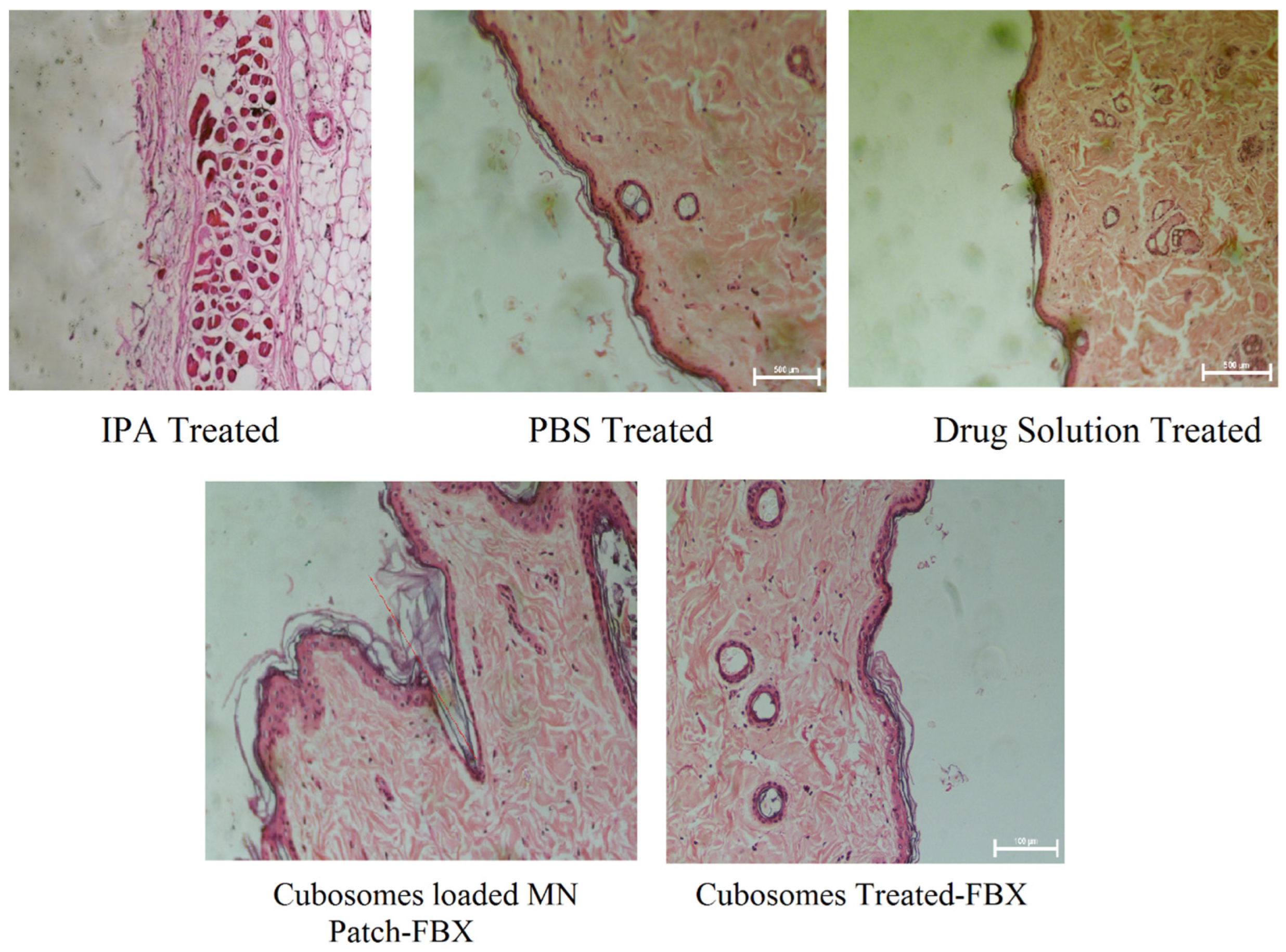 Pharmaceutics 15 00224 g010