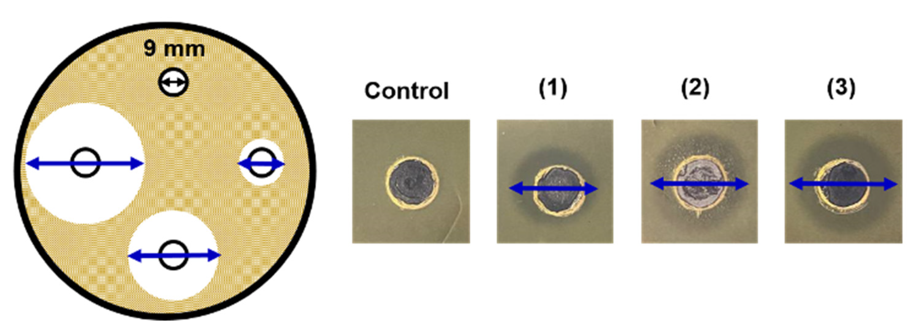 Pharmaceutics 15 00228 g015