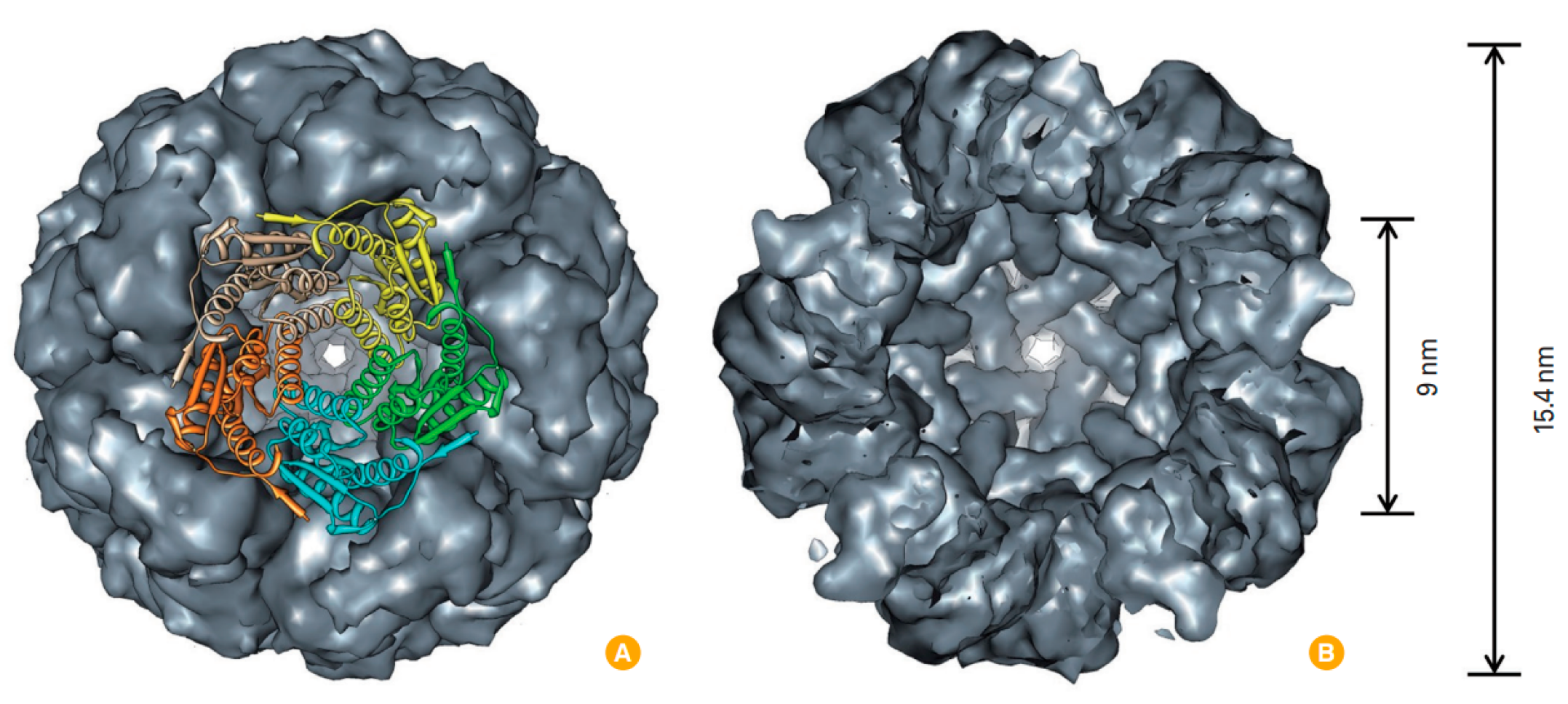 Pharmaceutics 15 00231 g006