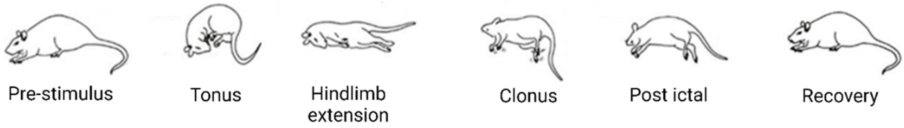 Pharmaceutics 15 00233 g003
