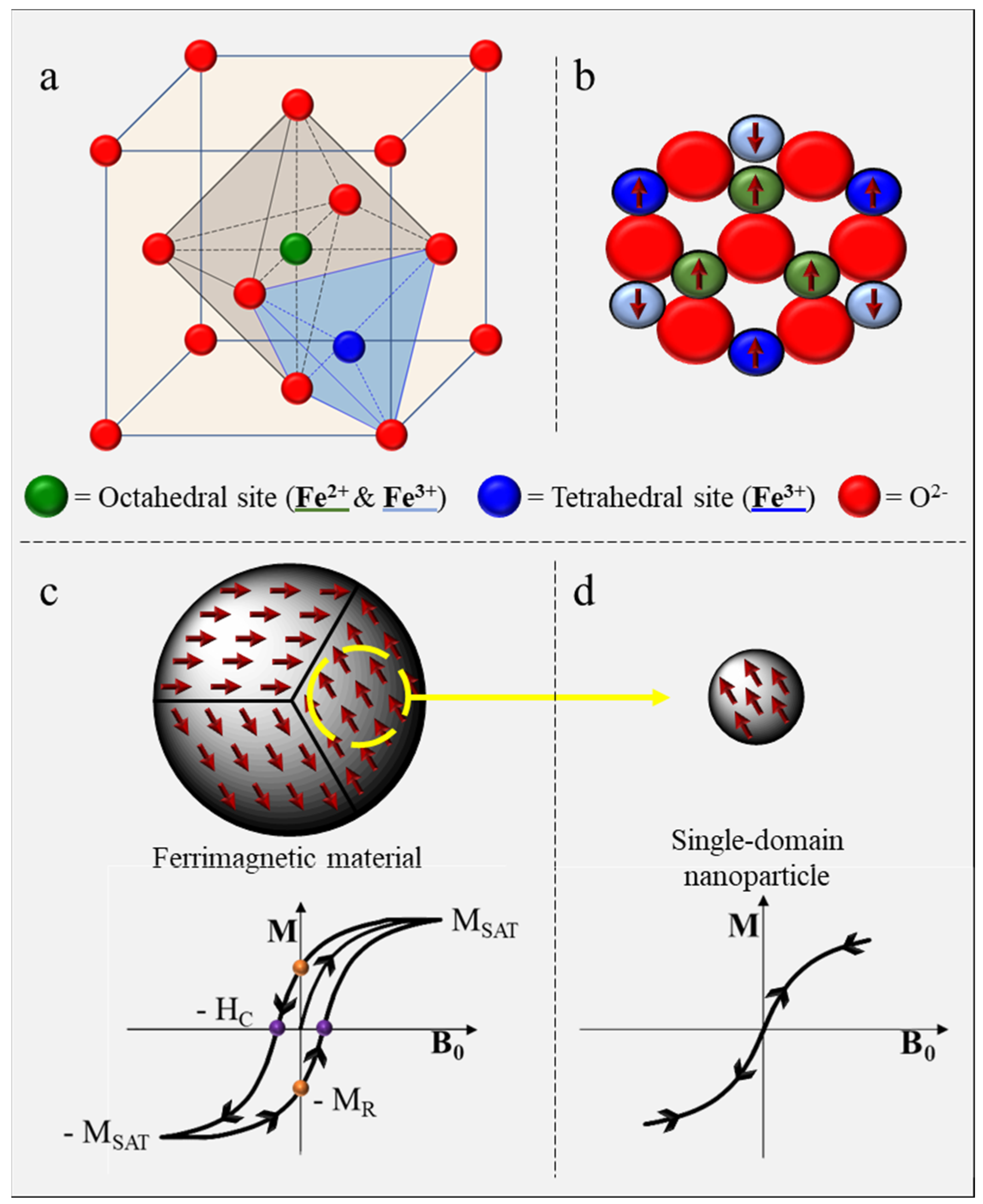 Pharmaceutics 15 00236 g001