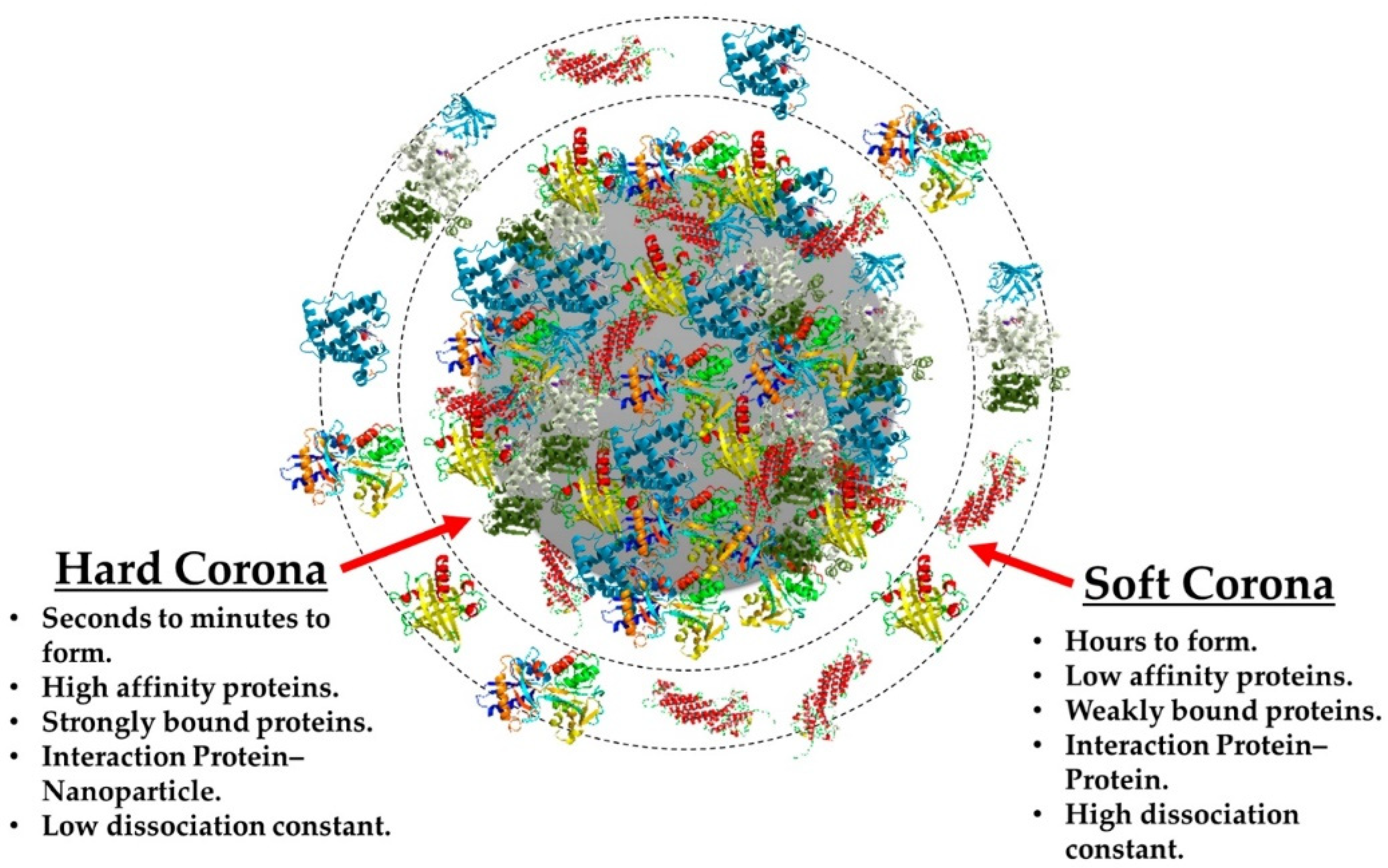 Pharmaceutics 15 00236 g005