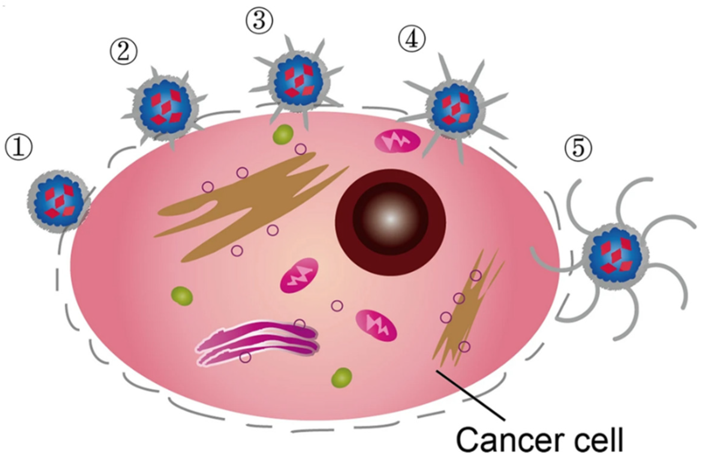 Pharmaceutics 15 00236 g006