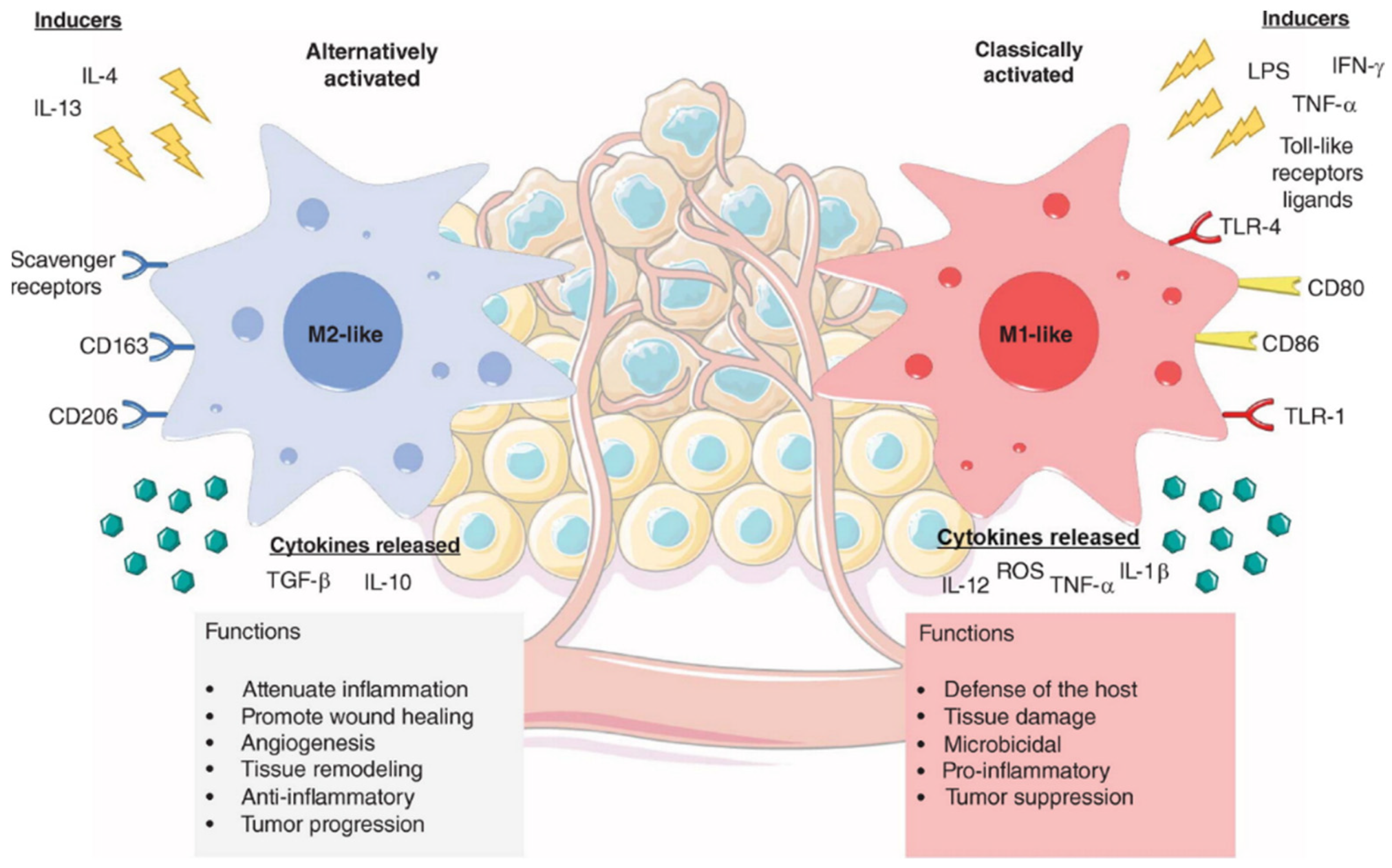 Pharmaceutics 15 00236 g007