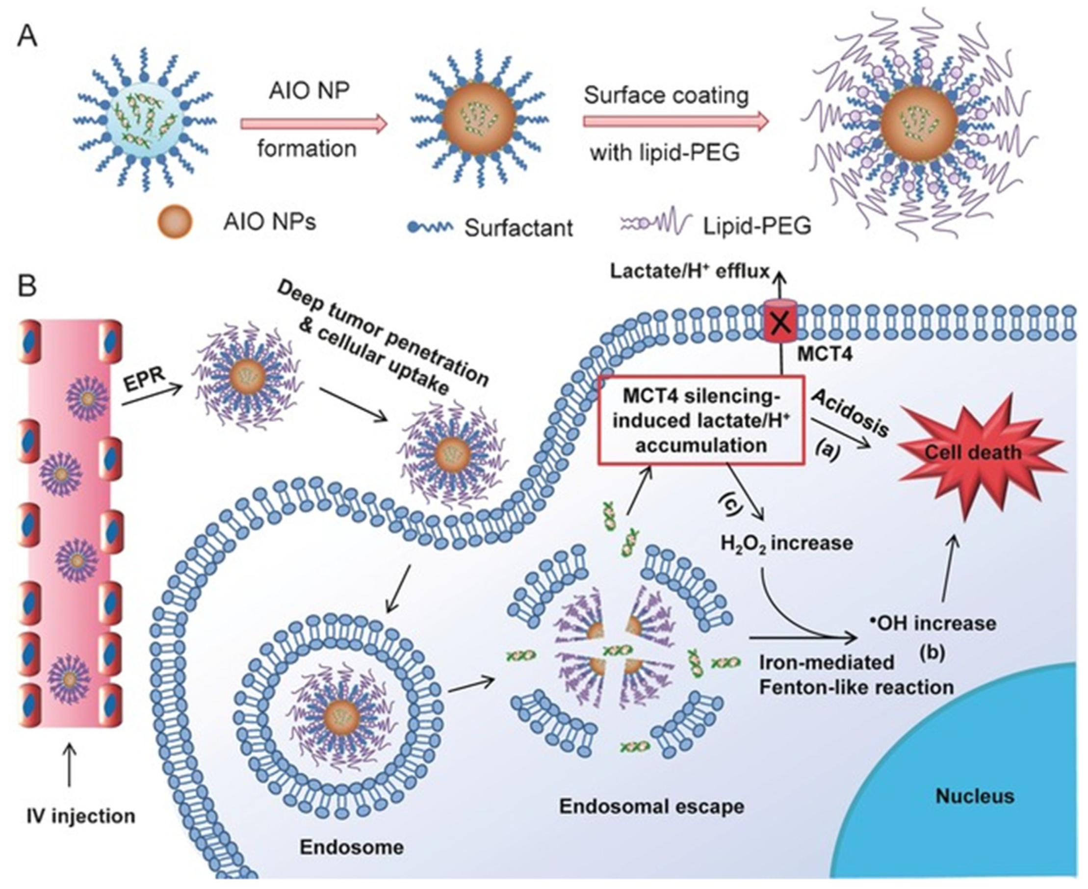 Pharmaceutics 15 00236 g008