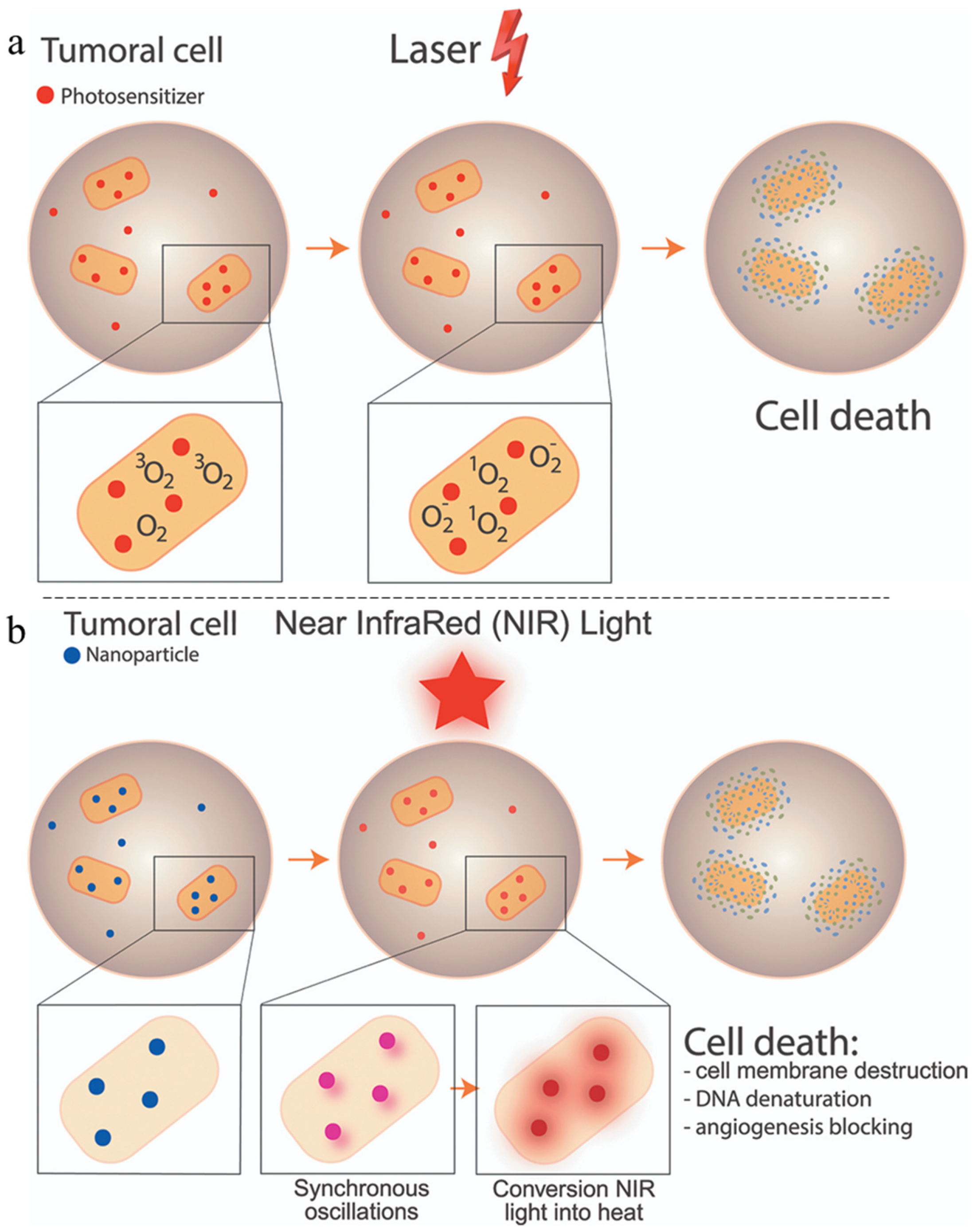 Pharmaceutics 15 00236 g009