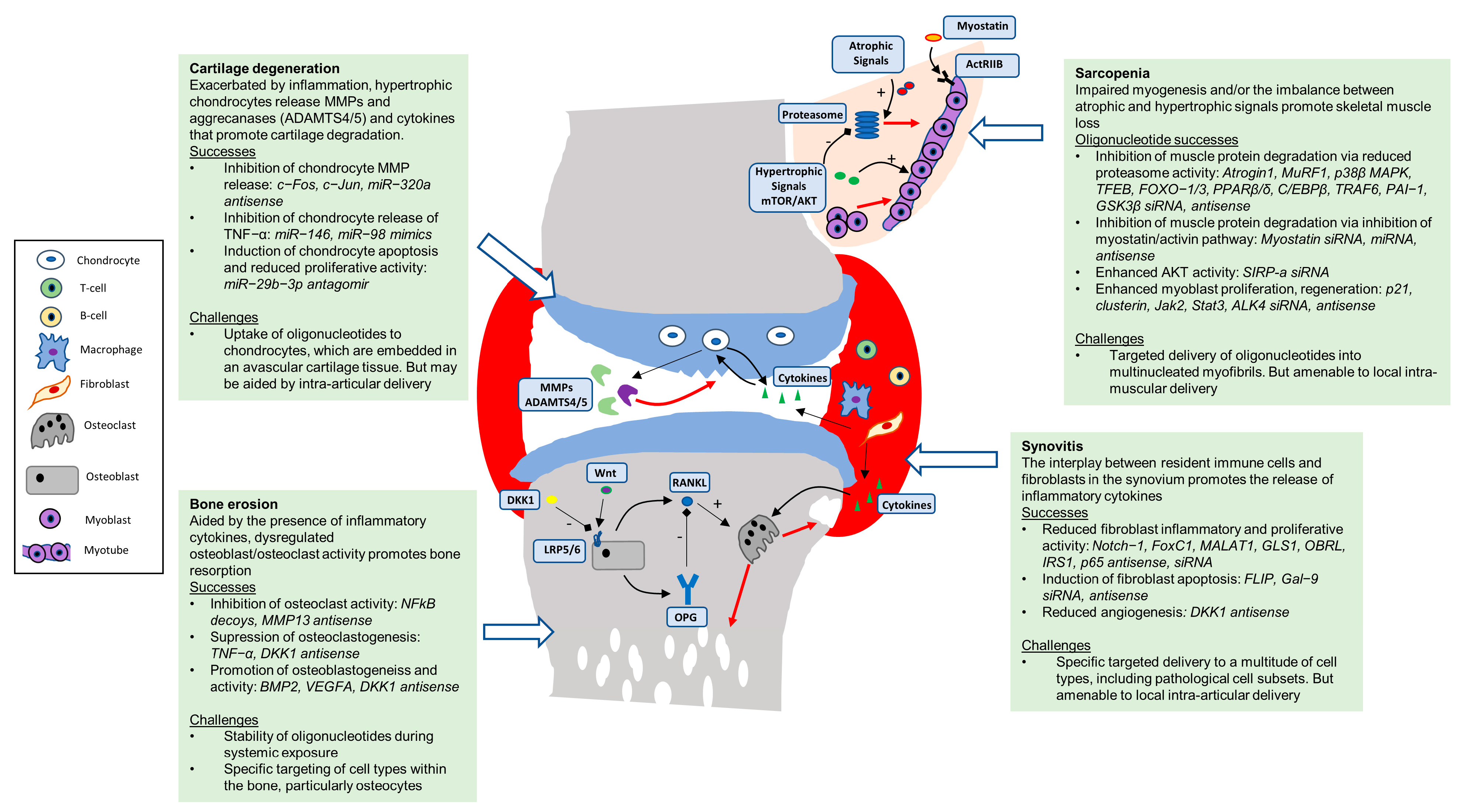 Pharmaceutics 15 00237 g001 Pharmaceutics 15 00237 g001